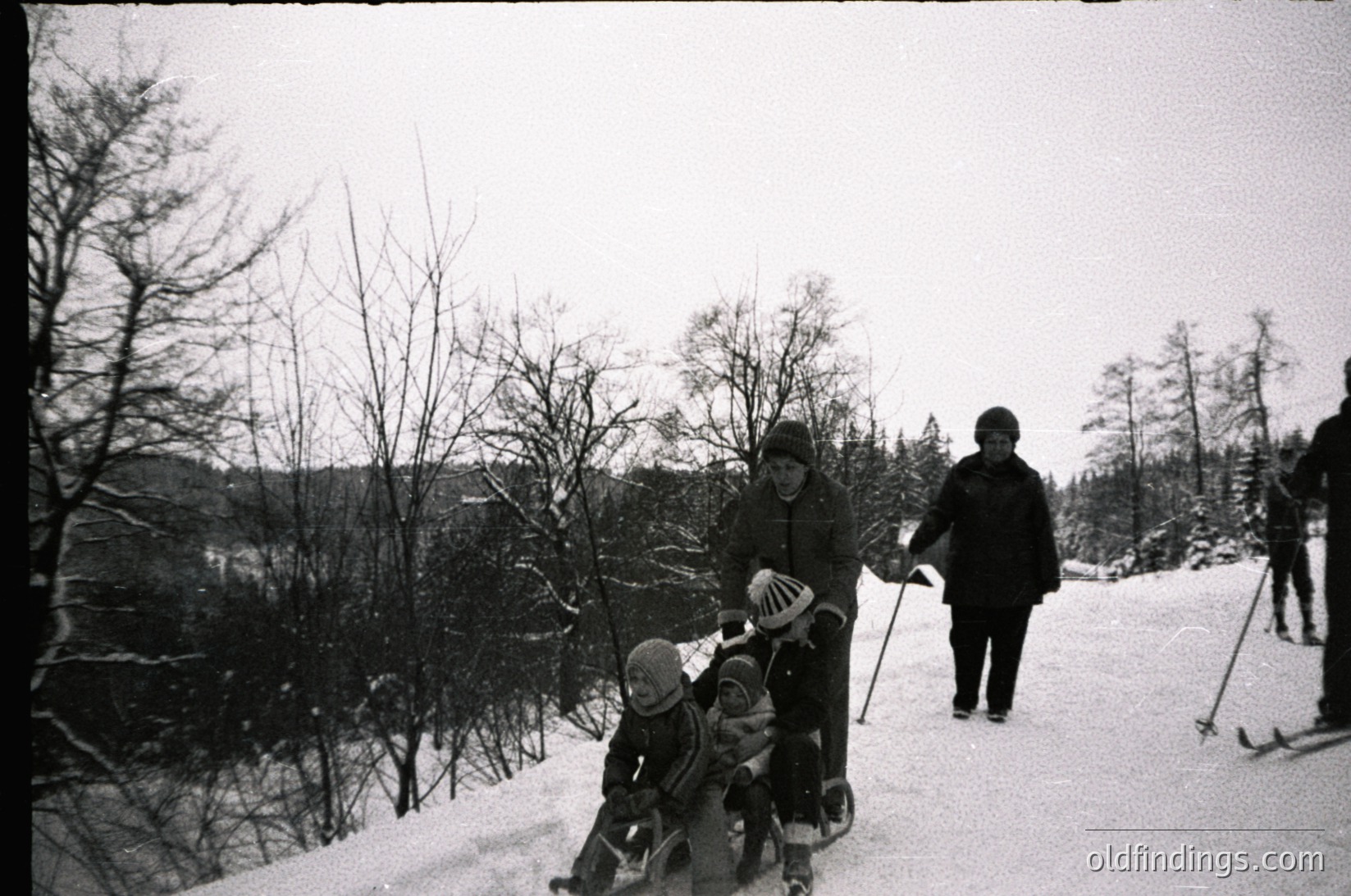 Family skiing on a groomed trail in a forested area, mid-20th century. Adult leads two children in a sled, others follow with skis. Snow-covered pines and overcast sky dominate the background.
