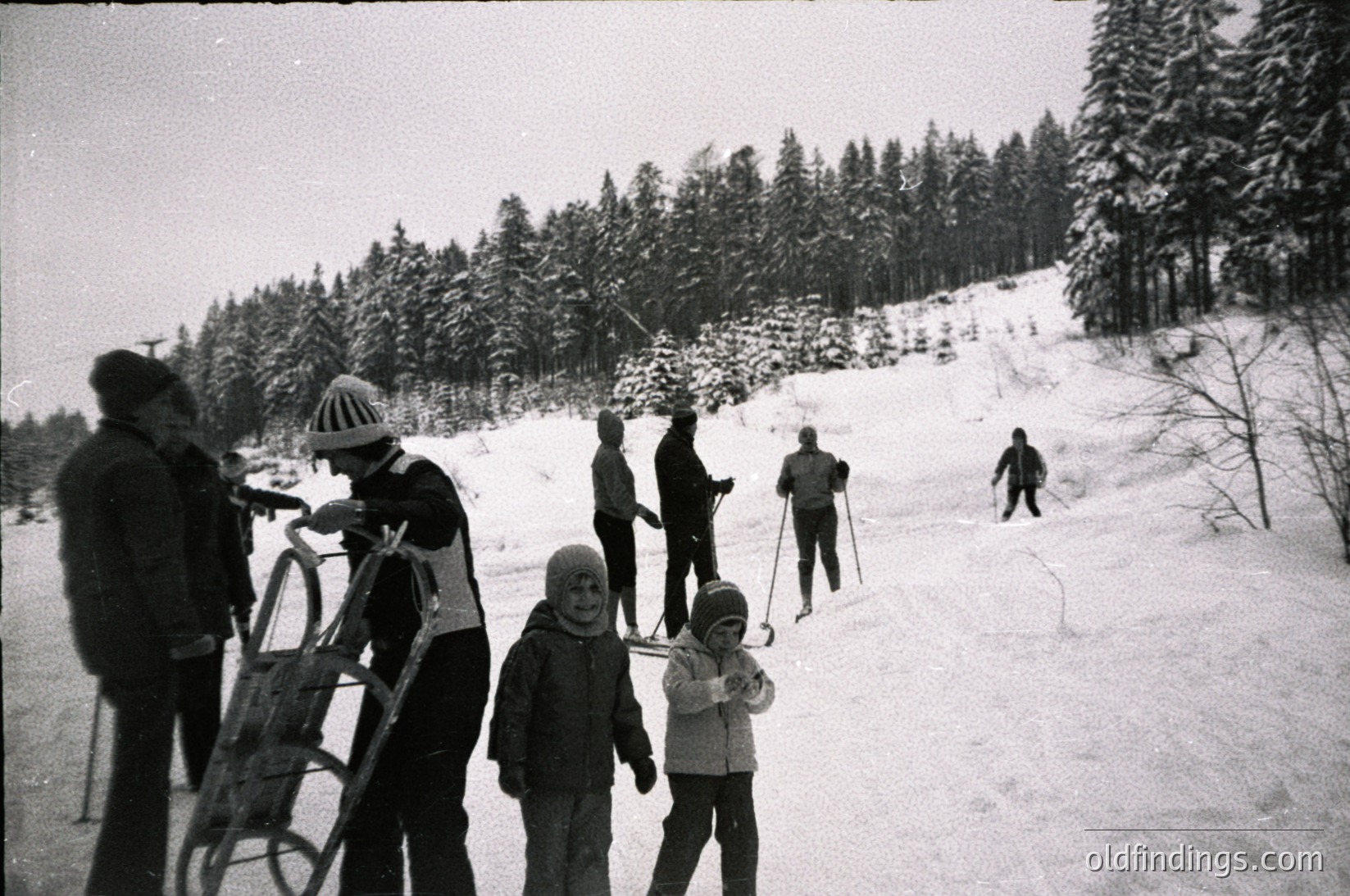 Mid-20th century winter scene: group skiing on groomed trail flanked by dense coniferous forest. Adults and children in vintage ski gear—some with skis, others on sleds. Snow-covered ground with visible ski tracks. Likely European alpine region.