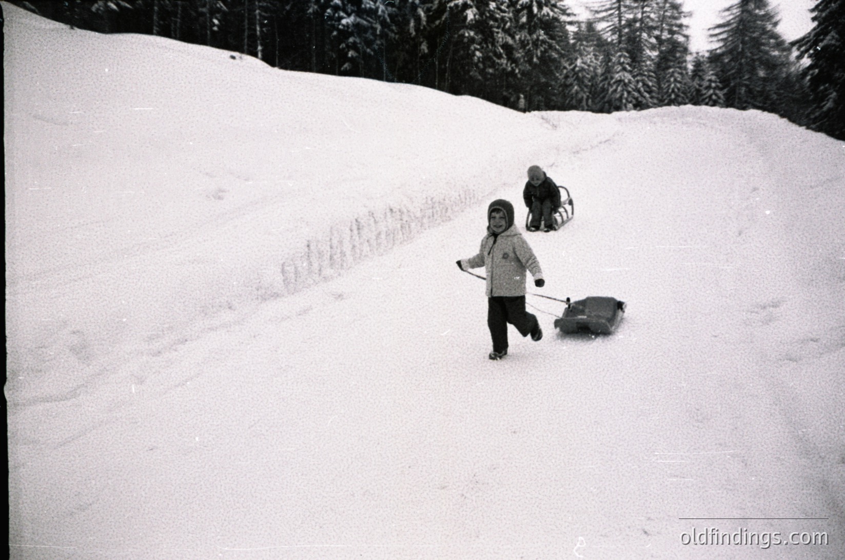 Black-and-white snapshot of two children sledding down a snow-covered hill, likely mid-20th century. Child in foreground pushes a sled, while another slides behind. Dense forest of evergreens frames the scene, suggesting a rural or mountainous setting. Clothing indicates winter playwear from the era.