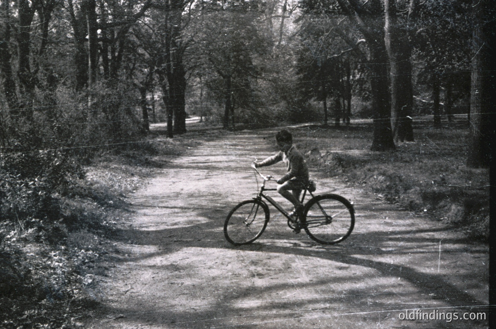 A child rides a classic single-speed bicycle on a gravel path through a wooded area, framed by dense trees. Mid-20th century rural or suburban setting, likely or . The vintage monochrome captures innocence and outdoor recreation.