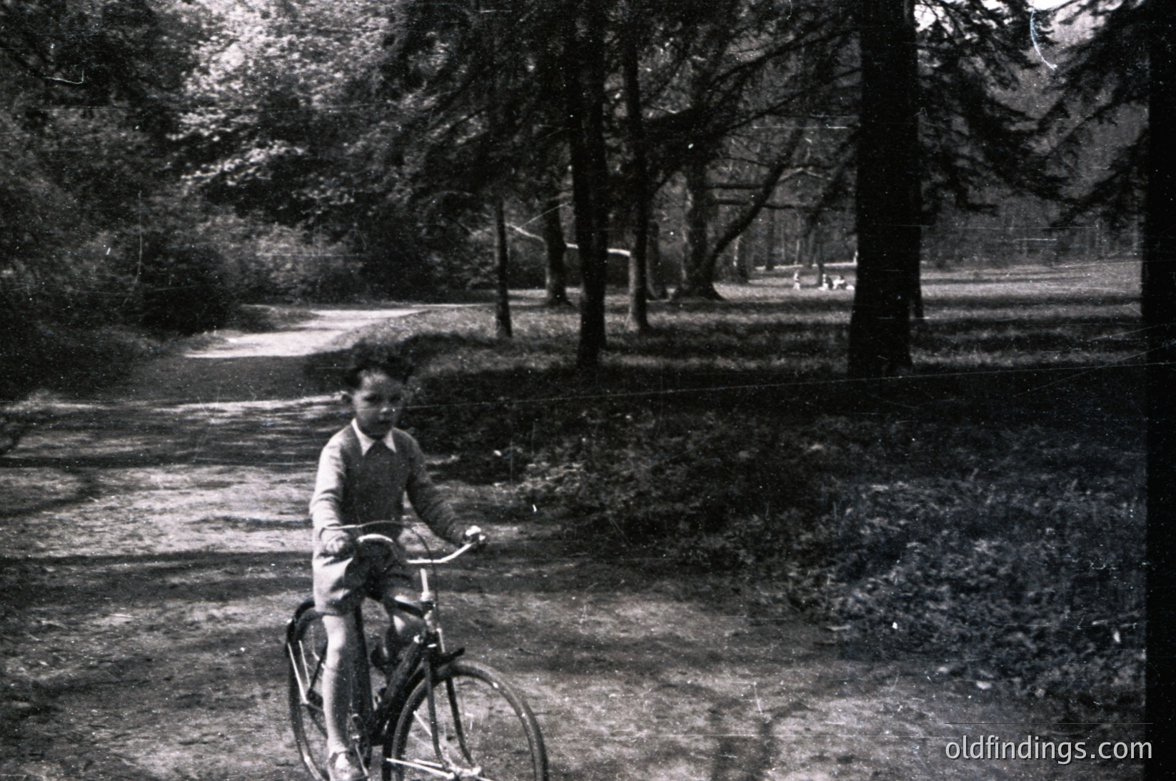 Mid-20th century black-and-white photo of a child riding a simple bicycle on a rural gravel path, surrounded by dense trees and foliage. The child wears a long-sleeve shirt and short pants. Likely European countryside setting, 1940s-1960s.