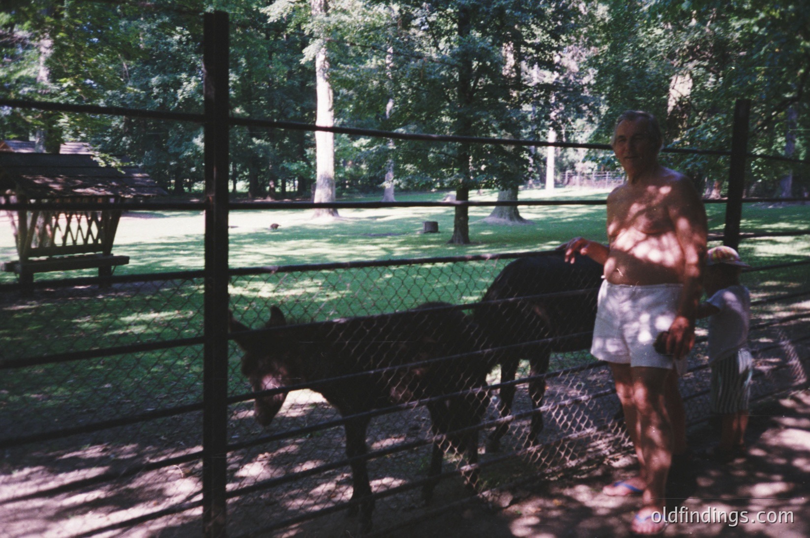 Vintage park scene with a woman and child near a chain-link fence, likely 1970s–1990s. Wooden picnic tables and dense greenery suggest an urban park setting. Soft focus and warm lighting evoke nostalgia.