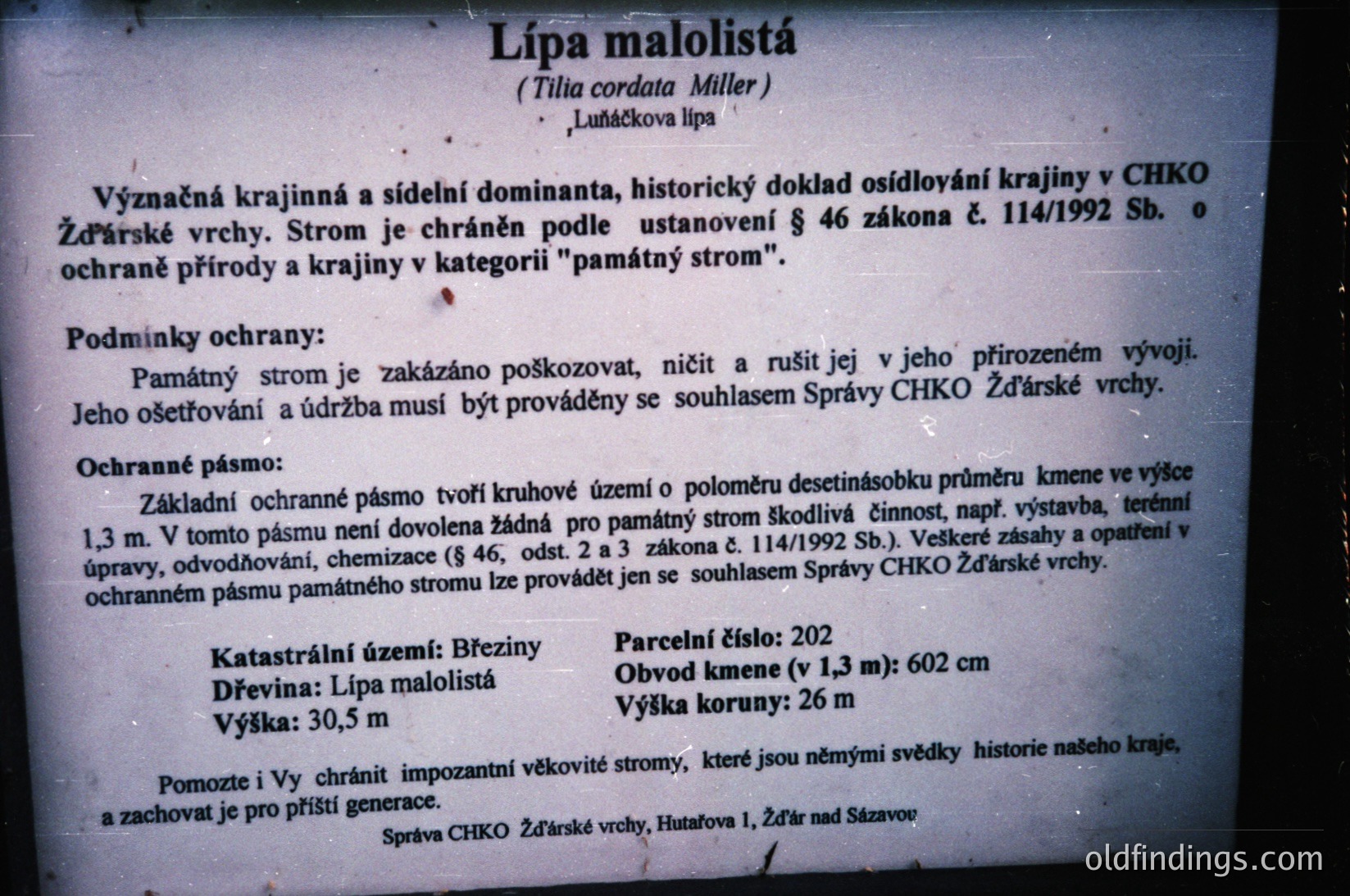 Handwritten signboard in Czech detailing a protected **small-leaved lime tree (*Tilia cordata*)**, a historic landscape landmark in **České středohoří (Bohemia, Czech Republic)**. Text notes its protected status under Czech law (1992), height (30.5m), trunk circumference (602 cm), and crown spread (26m). Includes legal restrictions on construction within a 1.3m radius. --- *Note: The exact year is inferred from the law reference (1992), not the sign’s creation date.*