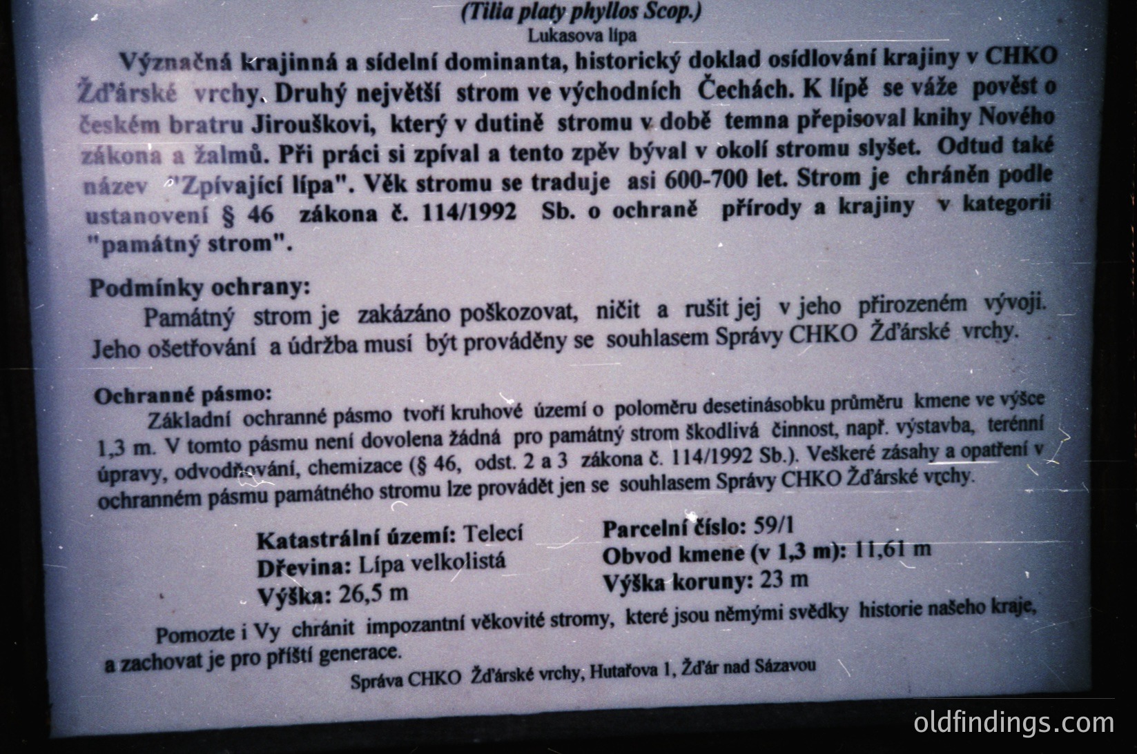 A close-up of a **handwritten and printed informational plaque** about a protected tree (*Tilia platyphyllos Scop.*) in Czechia. The text details its historical significance, legal protections under Czech law (1992), and measurements: trunk diameter 26.5 cm, crown height 23 m, and protected radius 11.61 m. The plaque is mounted on a wooden post, likely in a public park or nature reserve.