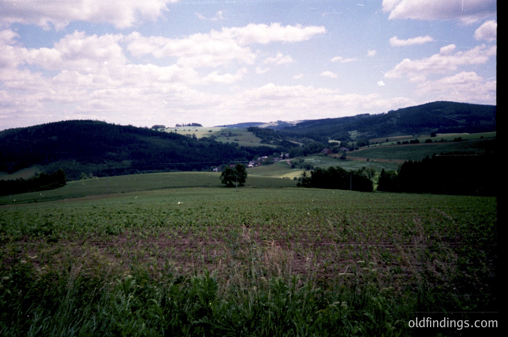 Vibrant rural landscape with rolling hills, lush green fields, and scattered trees under a bright blue sky with scattered clouds. Likely European countryside, mid-20th century.