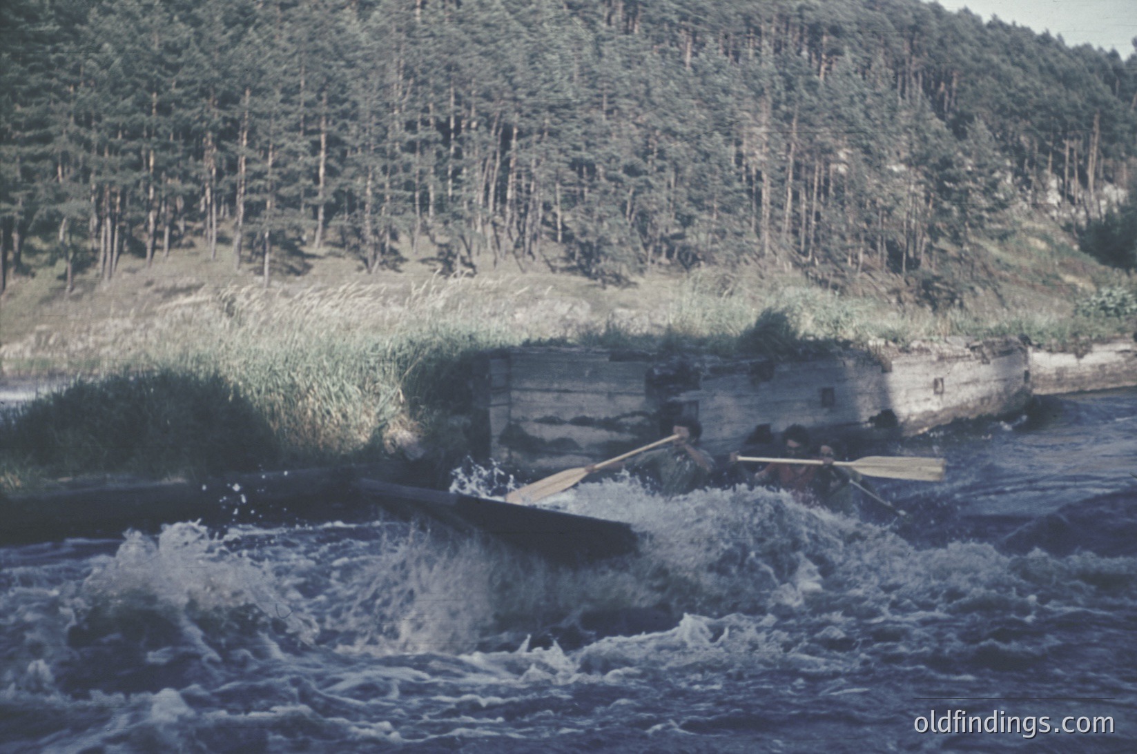 Vintage wooden boat navigating a fast-flowing river near a concrete dam. Lush green forest and grassy embankment in background. Likely mid-20th century industrial or recreational waterway scene.