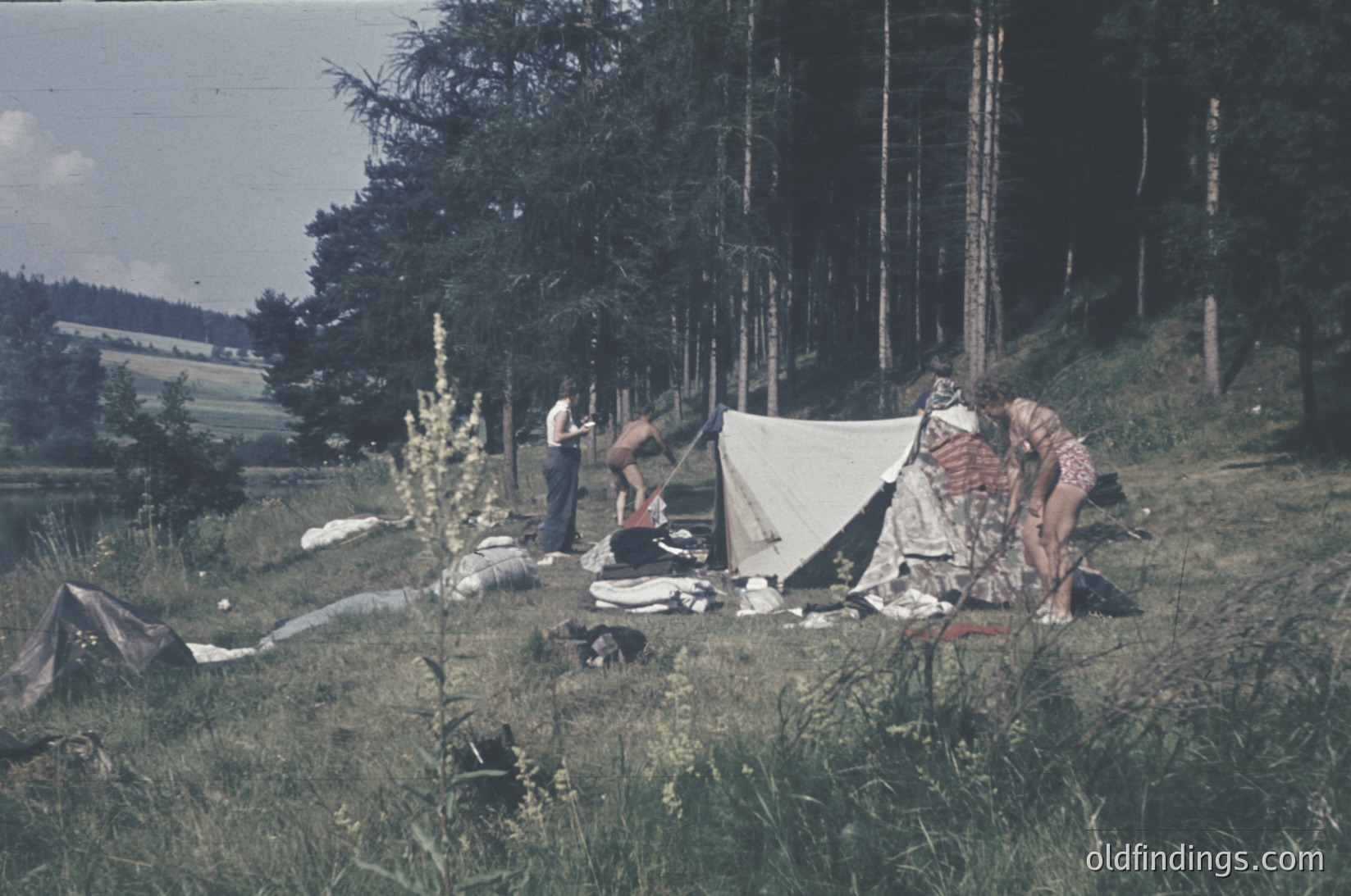 Vintage camping scene in a forested hillside, likely 1960s–1970s. Three people—two adults and a child—setting up a white canvas tent among scattered gear. Lush greenery, tall pines, and a distant agricultural field. Authentic outdoor lifestyle documentation.