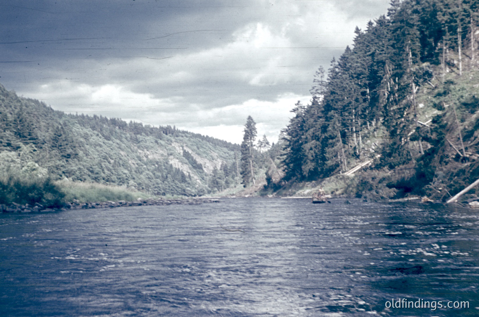 Vintage black-and-white river scene with dense coniferous forest on both banks. Overcast sky enhances moody atmosphere. Possible mid-20th century industrial or logging area—evidence of fallen trees and rough terrain. Water appears turbulent, suggesting rapids or a dam upstream.