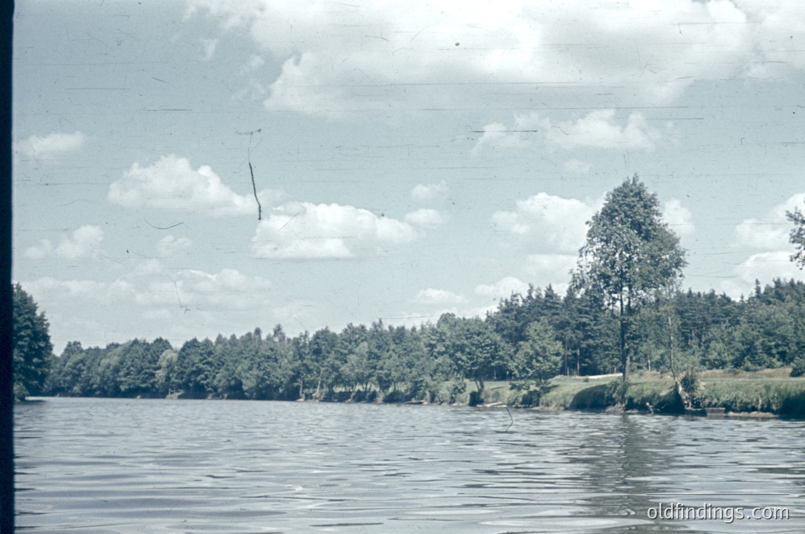 Vintage sepia-toned lakeside scene with dense forest lining the shore. A lone birch tree stands prominently on a rocky outcrop. Water reflects muted light, suggesting early photography era (pre-1950s). Ideal for historical research on nature photography or mid-20th century landscapes.