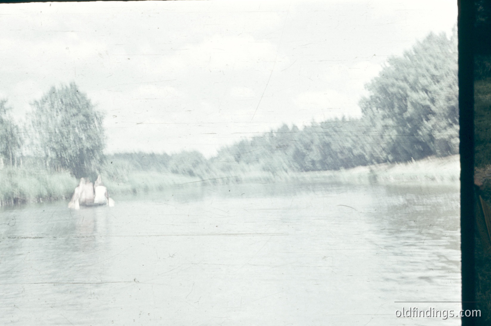 Vintage black-and-white photo of two figures in a small wooden boat on a shallow, overcast lake. Dense reeds line the shore, with distant trees under gray skies. Likely mid-20th century, possibly . Blurred foreground suggests motion or low-resolution film.