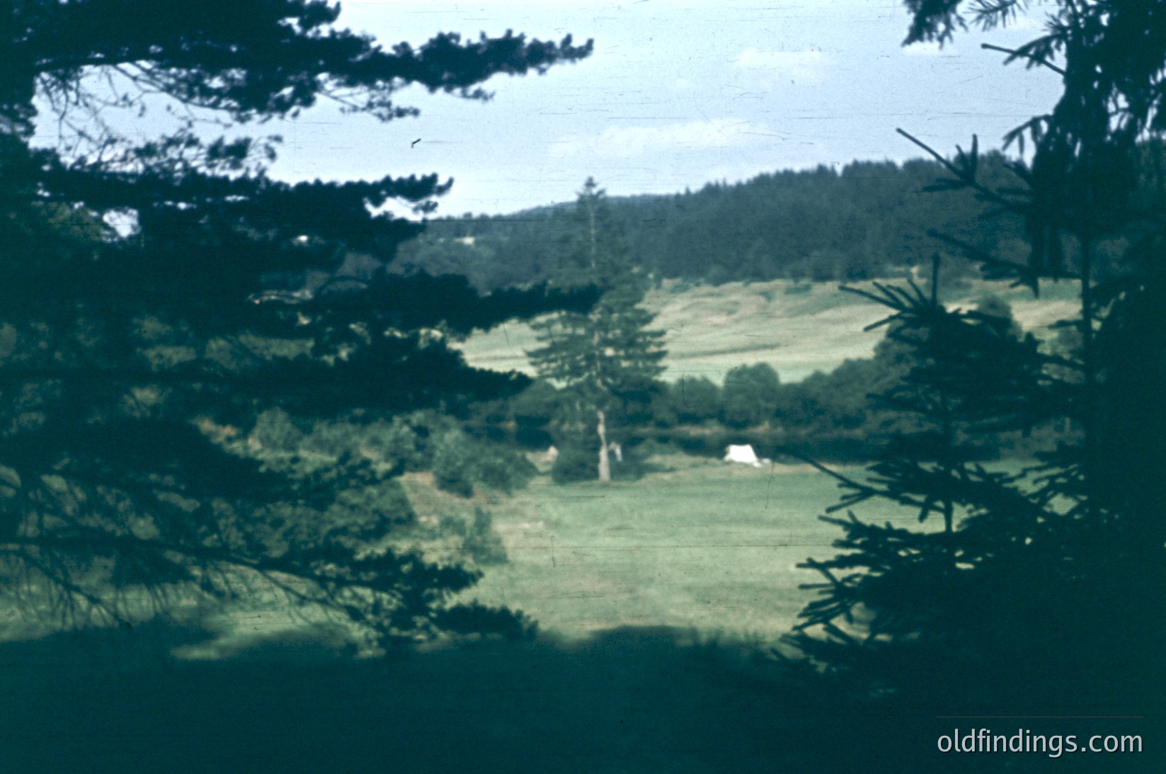 Vintage sepia-toned landscape shot through dense evergreen foliage, revealing rolling green hills and a lone white building. Mid-20th century rural scene with soft focus and muted colors.