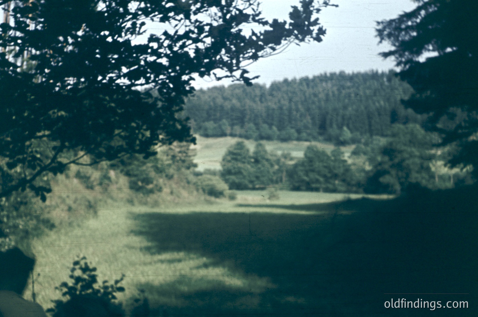 Vintage sepia-toned landscape shot through foliage, revealing a winding dirt path flanked by dense greenery. Soft focus enhances nostalgic, timeless quality. Likely 1970s–1990s, rural setting.
