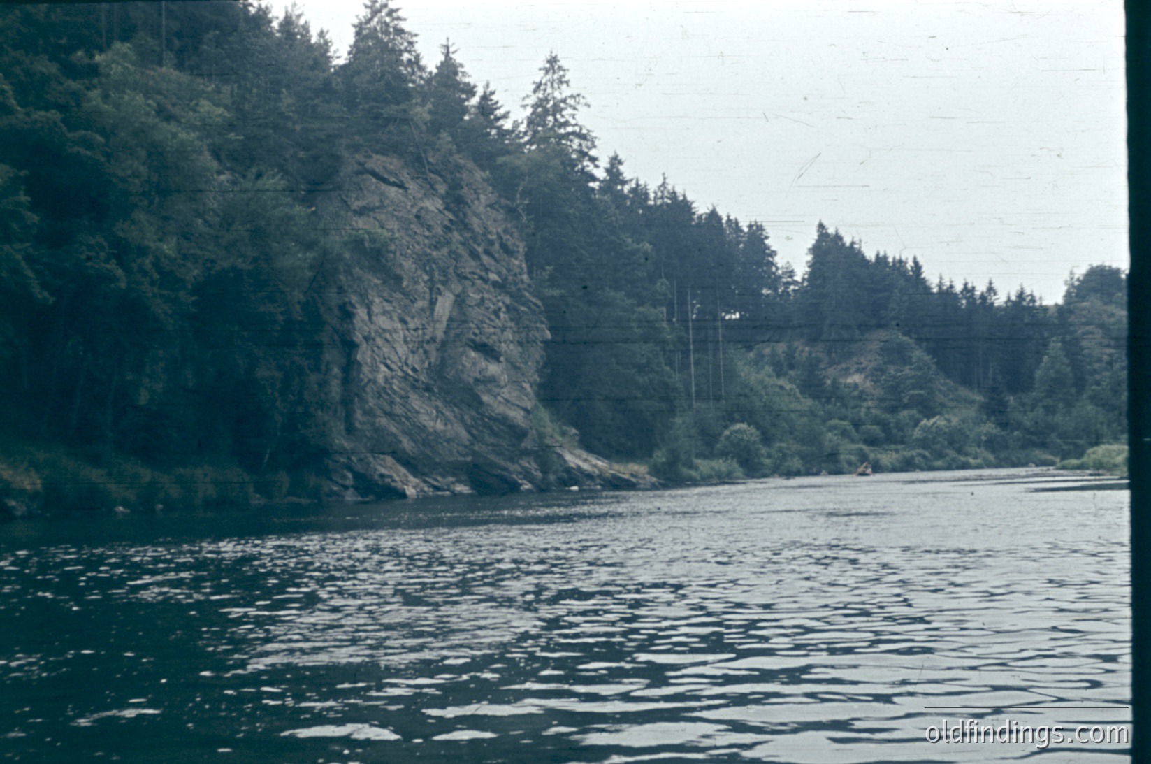 Vintage coastal scene featuring steep, forested bluffs meeting calm waters. Dense evergreen trees line the rocky shoreline, with a single utility pole visible. Likely Pacific Northwest, mid-20th century.