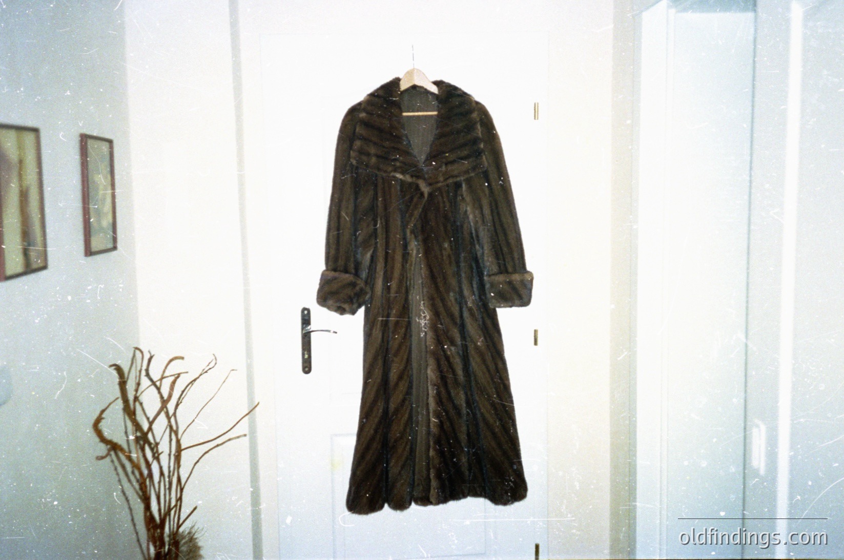 Vintage fur-lined coat in dark striped pattern, displayed on a hanger in a museum or exhibition setting. The coat features a high collar, cuffs, and a belted waist. Adjacent to the coat, a dried plant and framed artwork add context.