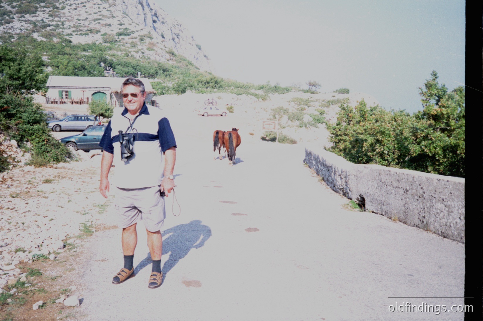 Man in retro sunglasses and striped polo stands on a winding coastal road, holding a camera. Rural landscape with rocky cliffs, parked cars, and distant horse-drawn cart. Likely Mediterranean or Adriatic region, 1990s–2000s.
