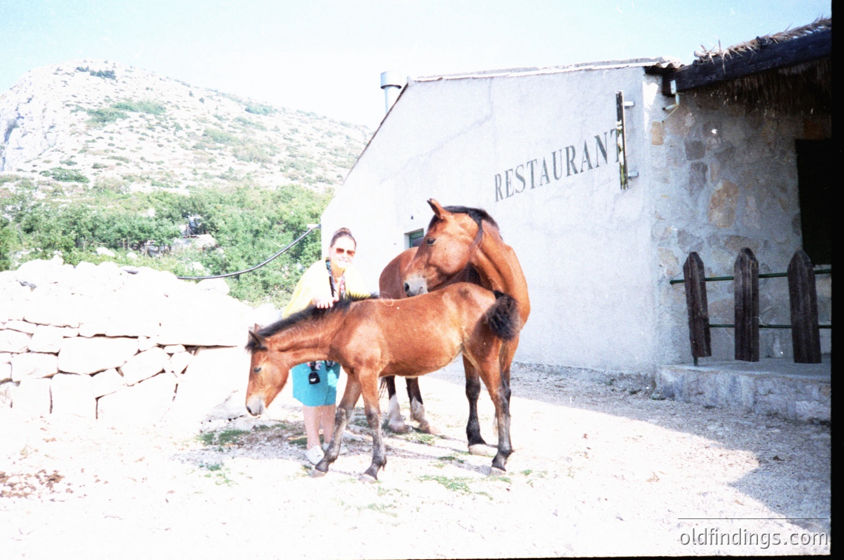 Rural mountain restaurant sign with rustic stone walls, two horses (adult and foal) standing beside a person wearing a teal vest. Scenic hilly backdrop suggests alpine or pastoral setting. Likely late 20th century.