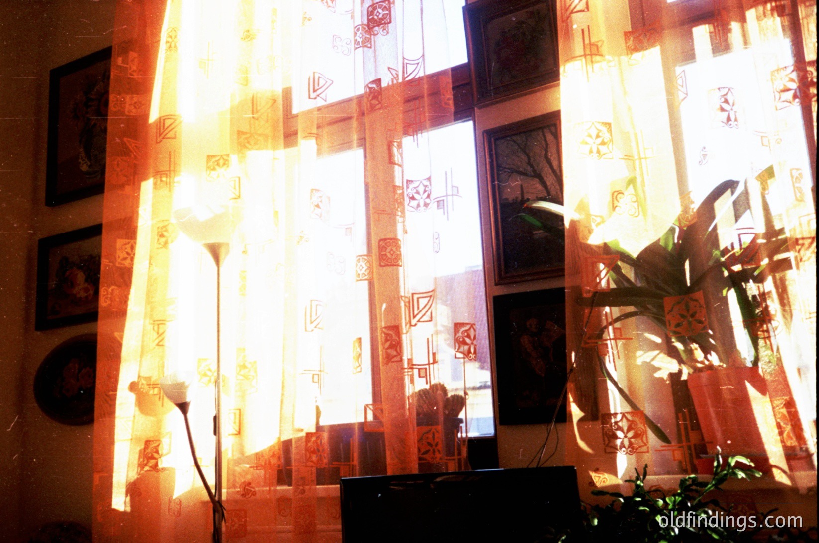 Vintage interior bathed in golden afternoon light filtering through patterned curtains. Mid-century design with framed art, a potted plant, and a vintage floor lamp. Warm tones evoke 1960s–1970s residential style.