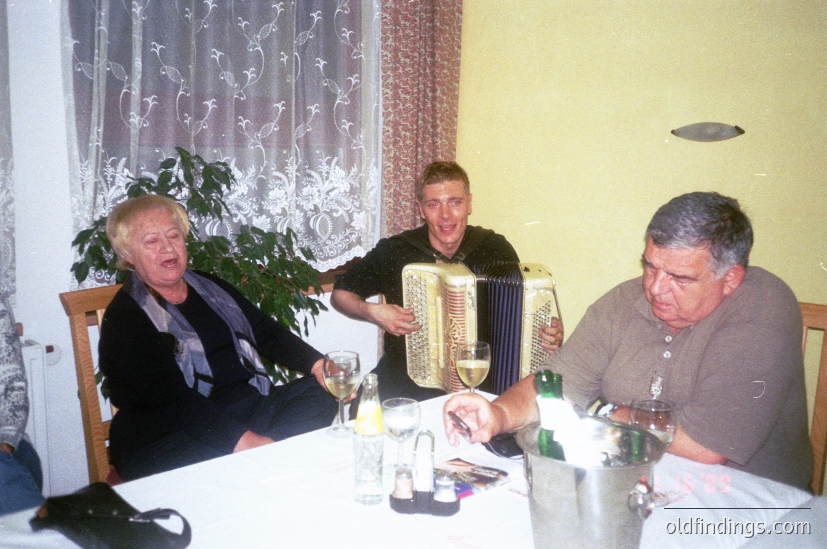 Three adults gather indoors around a table, likely a private home setting. The central figure plays an accordion, while others hold wine glasses. Decor includes floral curtains, a potted plant, and a vintage-style ceiling fan. Style suggests mid-to-late 20th century European domestic life.