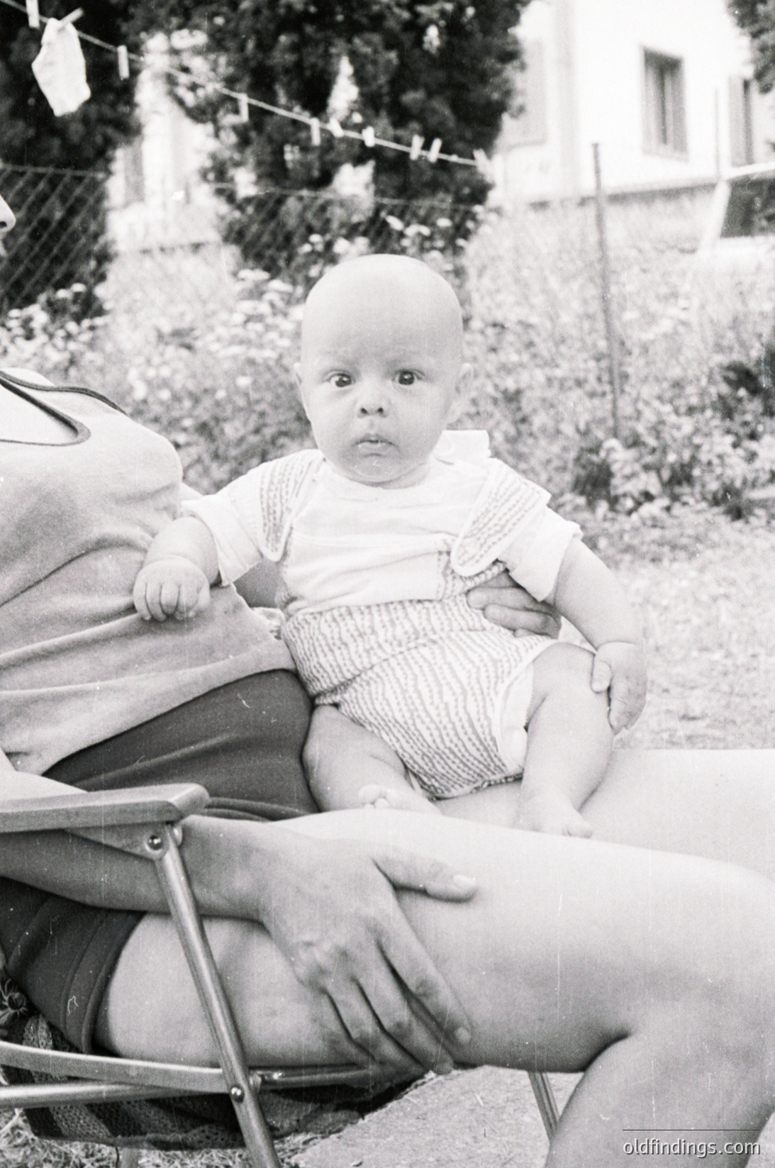 Black-and-white portrait of an infant seated in a wicker chair, mid-20th century. Baby wears a short-sleeve knit shirt and striped pants. Background shows a residential garden with clotheslines and greenery.
