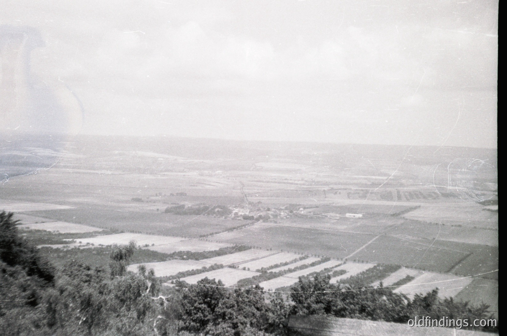 Aerial view of agricultural fields divided by narrow pathways, likely for irrigation or crop rows. Mid-20th century farming landscape with scattered trees and a distant industrial structure. Vintage black-and-white photo with high-contrast lighting.
