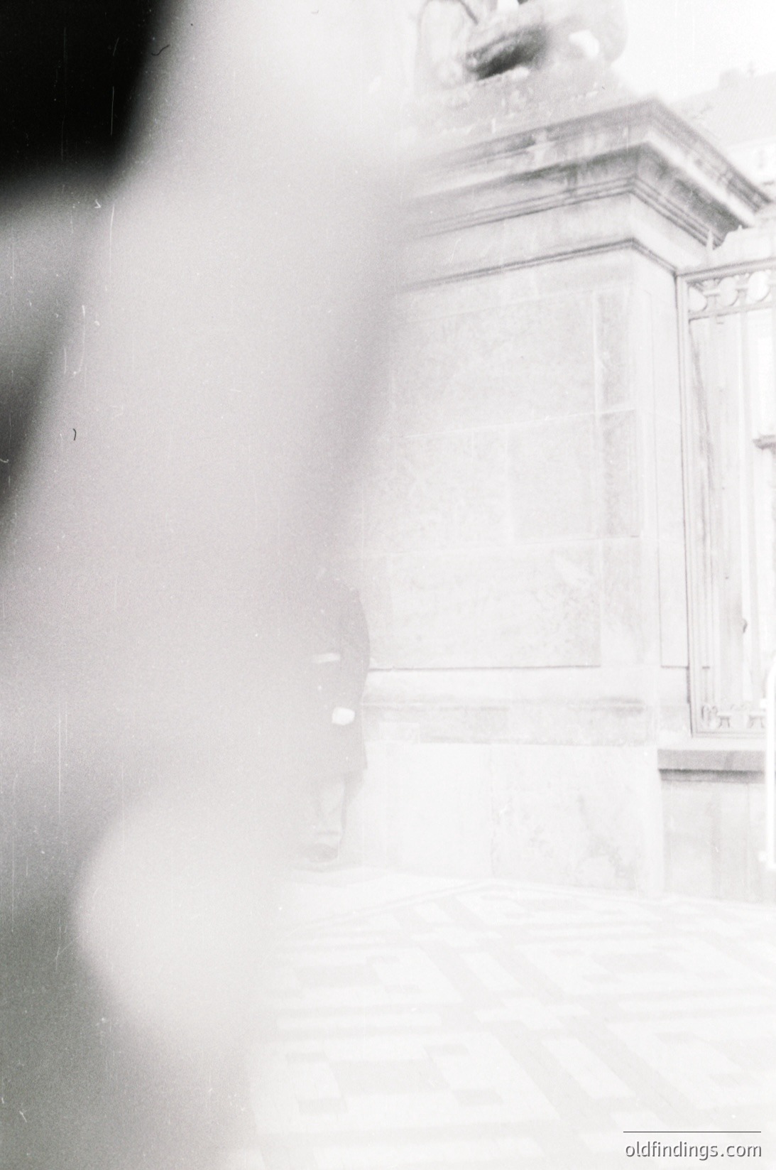 Vintage black-and-white close-up of ornate architectural detail—likely a classical column capital with acanthus leaves. Soft focus enhances texture and depth, evoking mid-20th century photography. Ideal for moody, timeless design references or historical architecture studies.