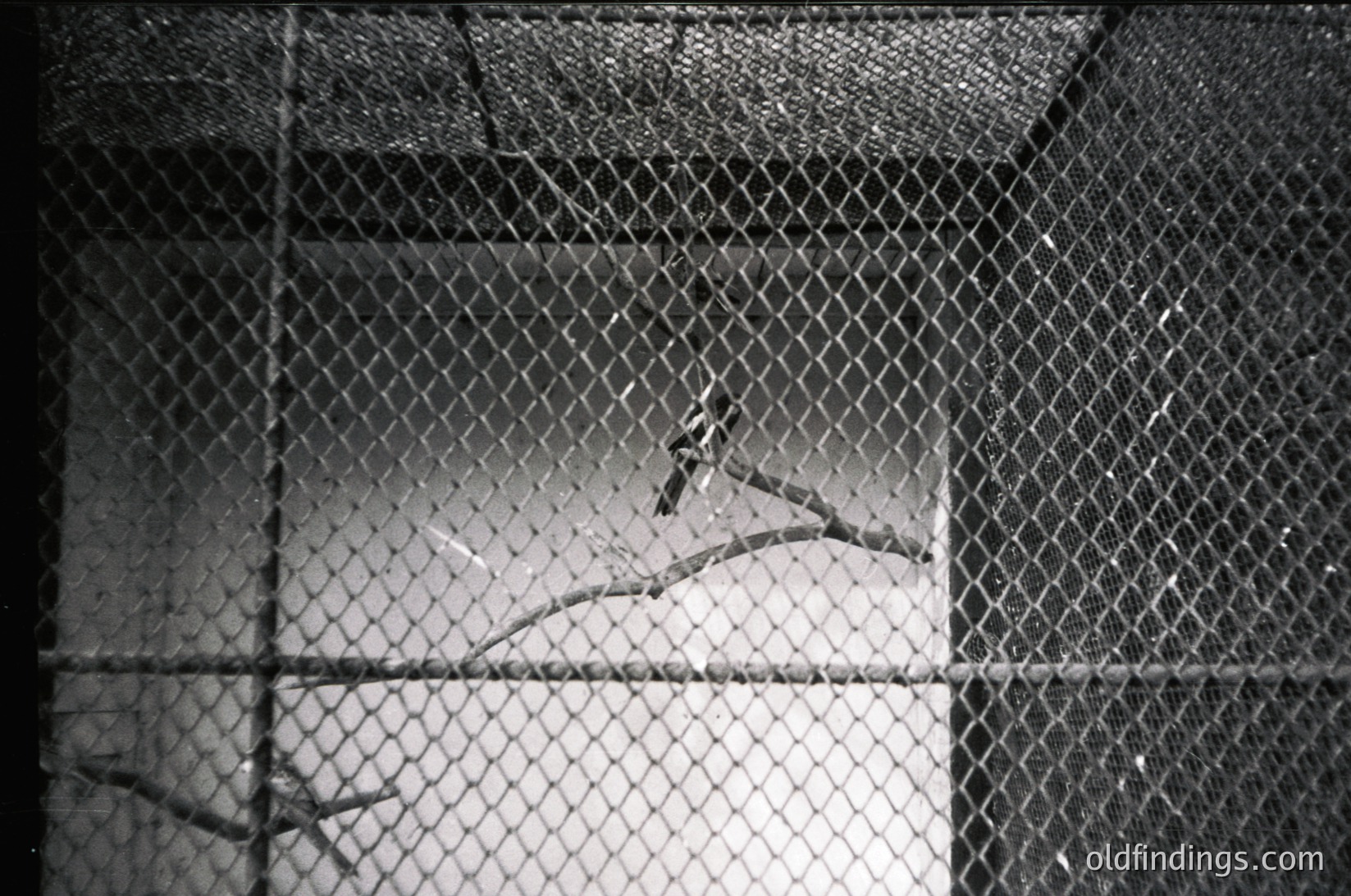 Black-and-white close-up of a chain-link fence with a jagged tear revealing a blurred, indistinct figure behind. The fence’s diamond pattern and reflective surface dominate the frame. Style suggests mid-20th century street photography.