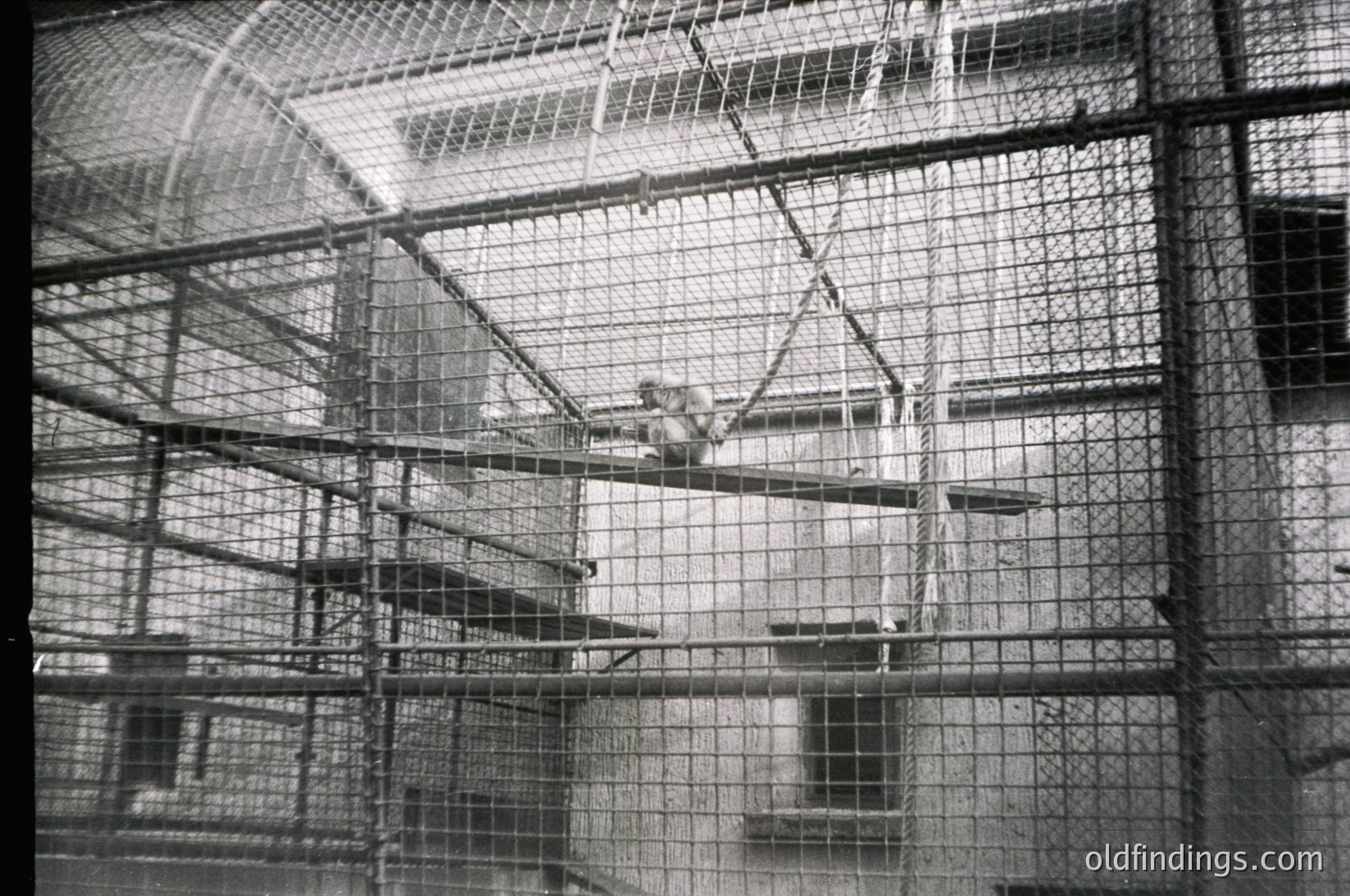Industrial prison cell block with tiered metal bunk beds and wire mesh barriers, likely mid-20th century. High ceilings with exposed beams and ventilation grates. Minimalist, stark design emphasizing confinement. Potential historical or architectural study reference.