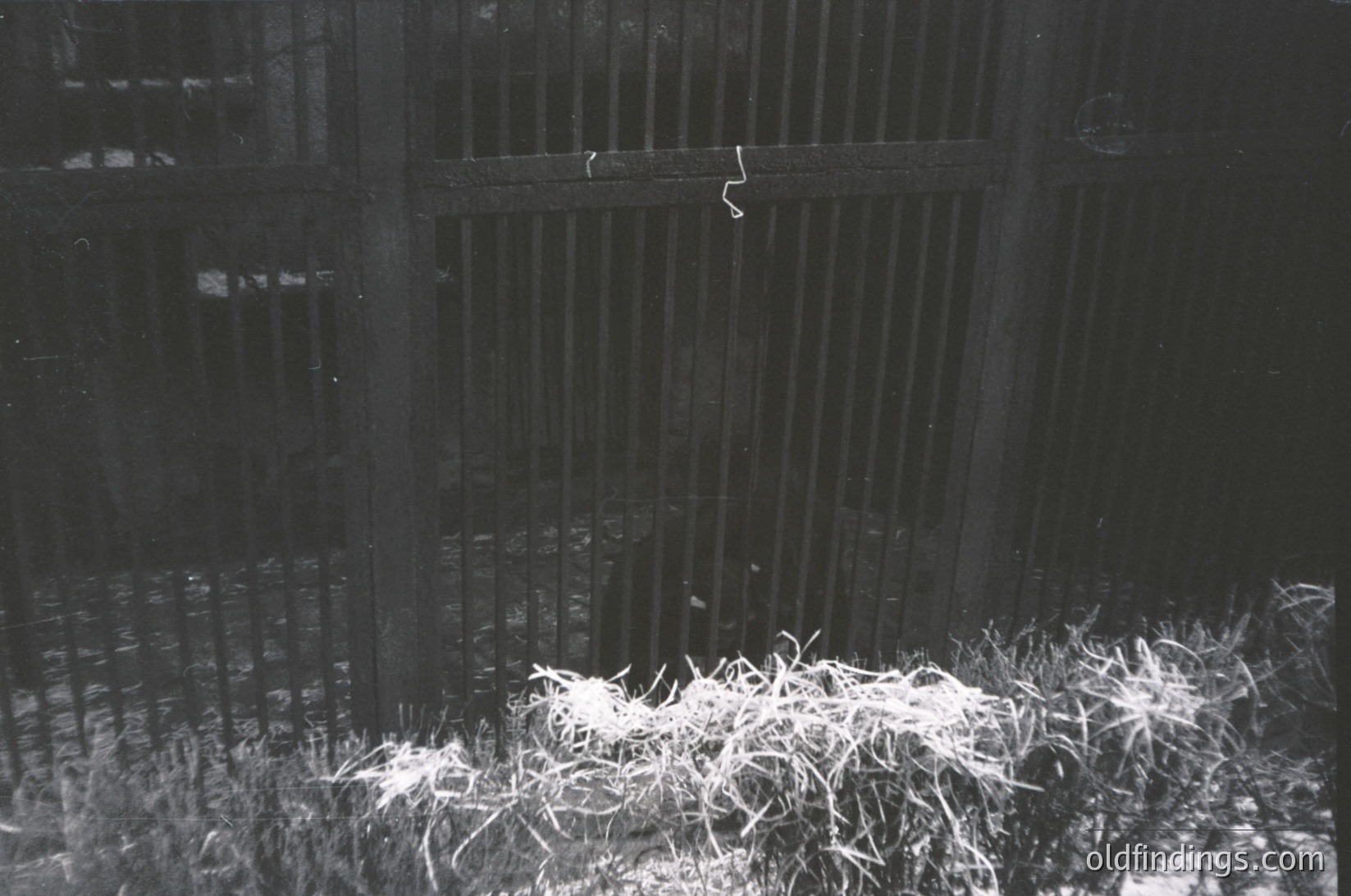 Black-and-white urban scene featuring a tall, vertical metal fence with horizontal bars. Snow or frost covers the ground and lower fence, contrasting with the dark, weathered metal. Likely mid-20th century industrial or residential architecture.