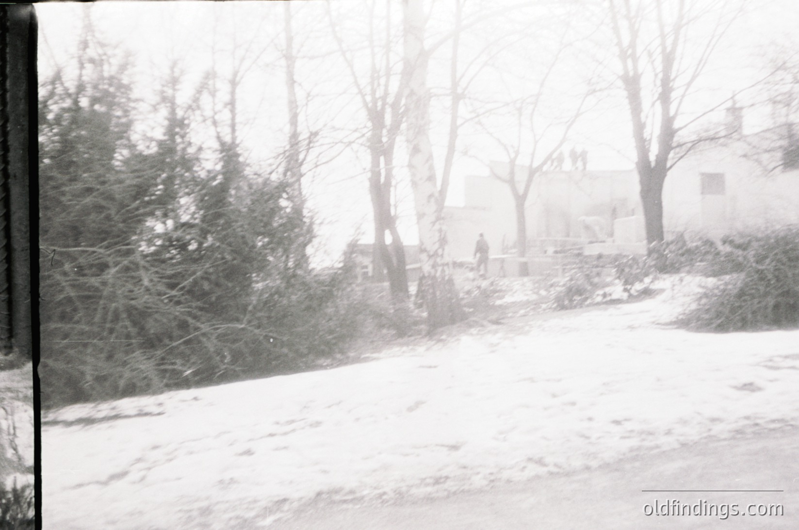 Blurry black-and-white street scene blanketed in snow, featuring leafless trees and a single blurred figure walking. Mid-20th century urban residential area, likely North America.