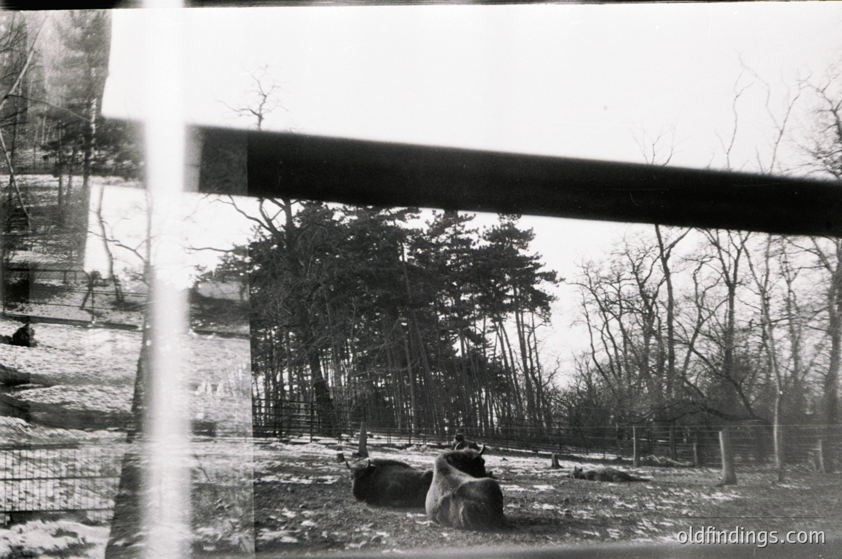 Vintage black-and-white photo of a rural landscape viewed through a train window, showing leafless trees, snow-covered ground, and a fallen log. Faded film grain and slight blur enhance nostalgic atmosphere. Likely Eastern Europe, mid-20th century.