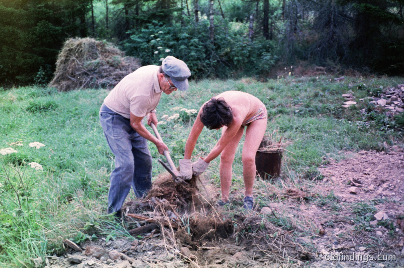 Two individuals dig in a rural garden, likely mid-20th century. Man in light cap and rolled sleeves, woman in sleeveless top, using shovels to clear soil. Surrounding area features dense greenery, wildflowers, and a woodpile.