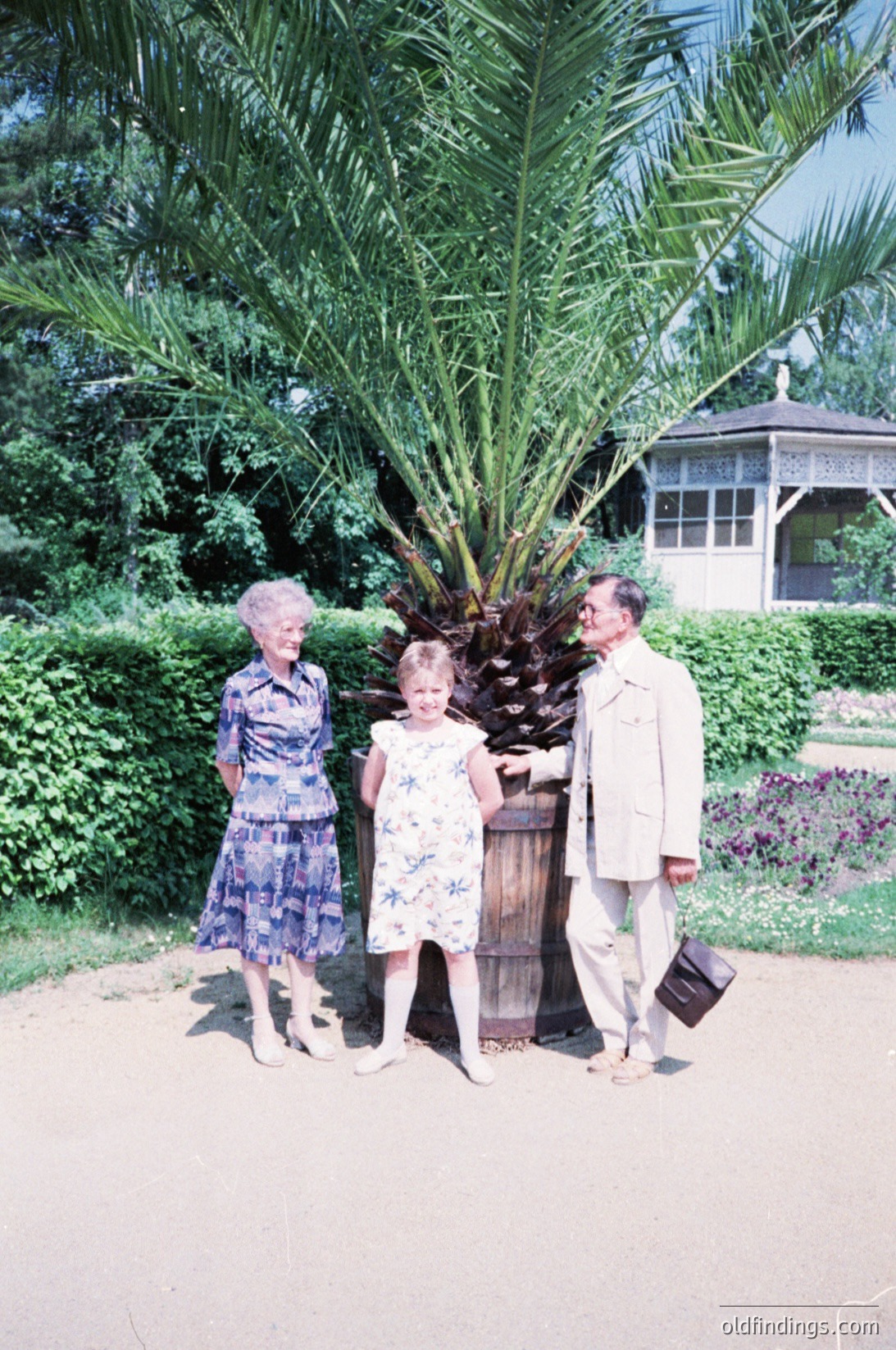 Family portrait in a lush garden setting, likely mid-20th century. Three individuals pose beside a tall palm tree and a wooden barrel, framed by vibrant greenery and a white gazebo. The woman wears a patterned dress, the girl a floral dress, and the man a light-colored suit with a briefcase.