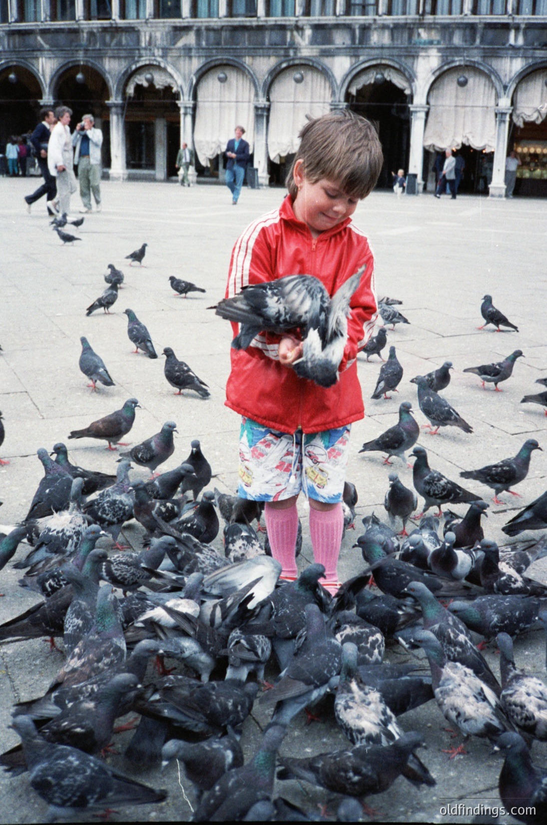 A child in a red jacket and floral shorts feeds pigeons in a historic square surrounded by arched colonnades. The scene captures urban wildlife interaction, likely in Venice’s Piazza San Marco (, , , , ).