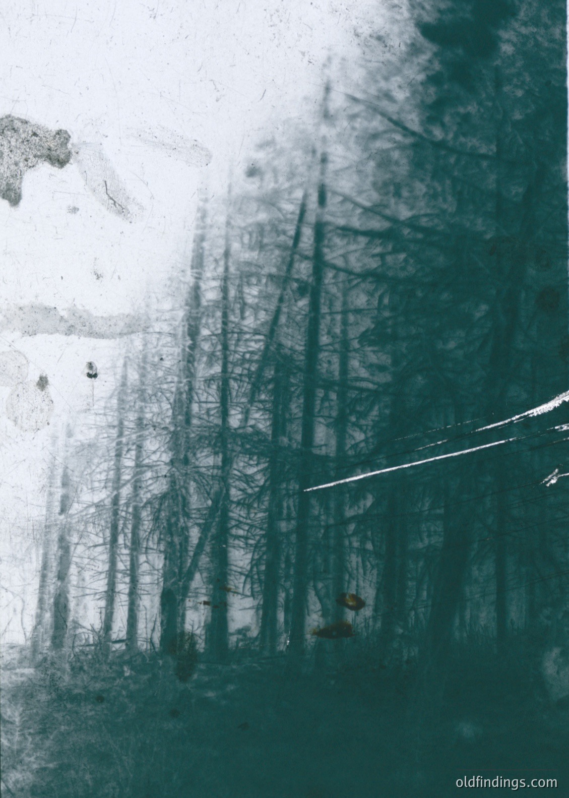 Vintage cyanotype print of a lone figure in a dense forest, silhouette against bare trees. The hazy, monochromatic tone suggests early 20th-century photography. The person appears to be walking or standing near a fallen log, with a blurred motion trail indicating movement. Ideal for historical research or artistic texture references.