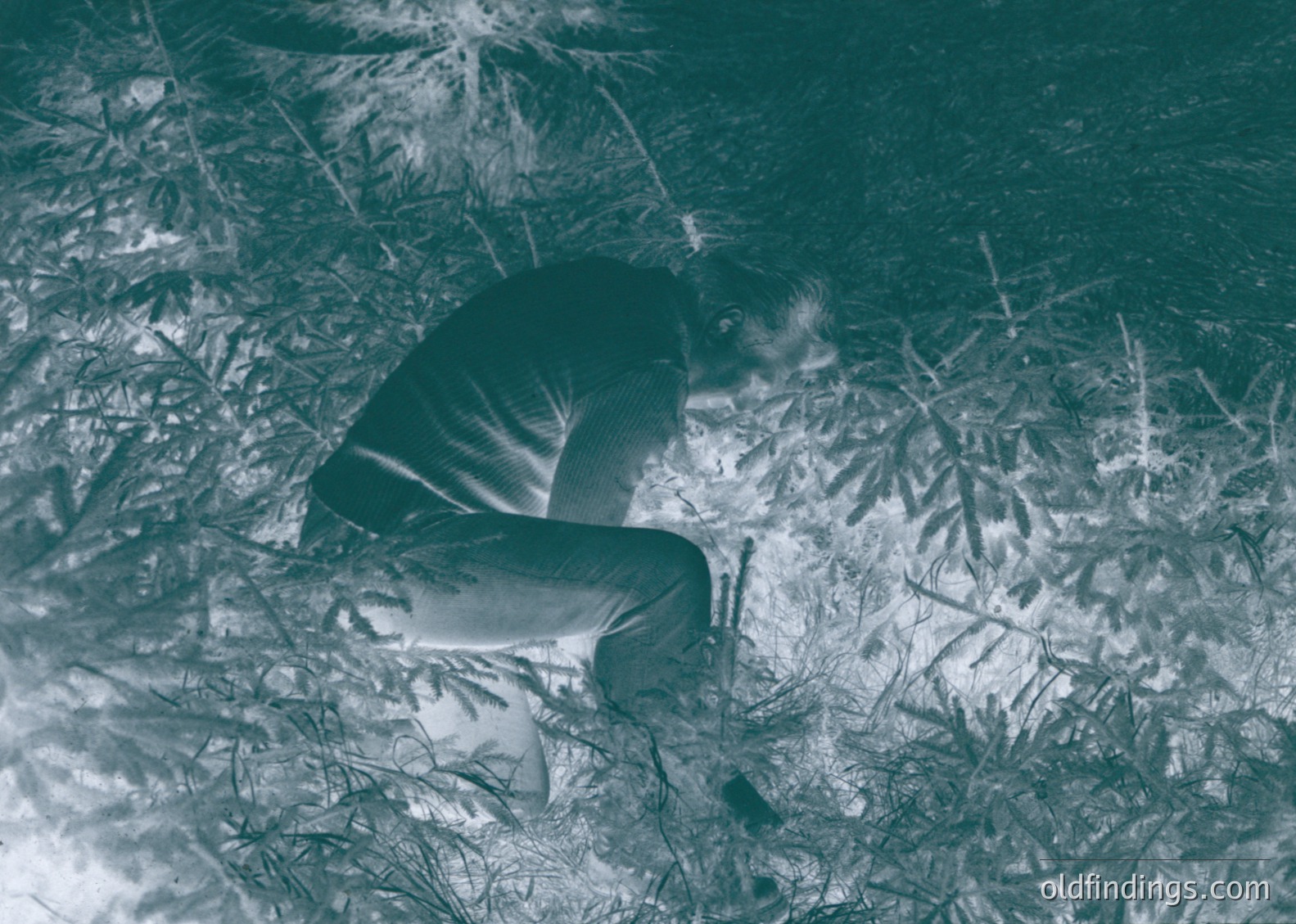 Monochrome winter scene of a person kneeling in snow-covered grass, surrounded by frost-laden branches. Clothing suggests mid-20th century style.