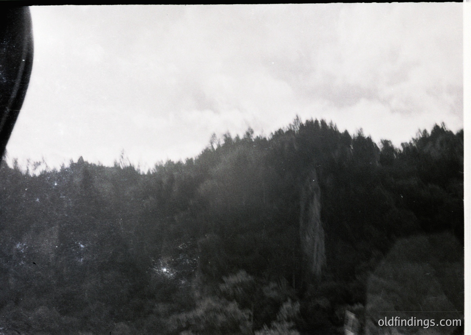 Black-and-white shot of dense forest with misty, layered hills under overcast skies. Composition suggests early photography or vintage film grain. Dense foliage and rocky terrain dominate the midground.