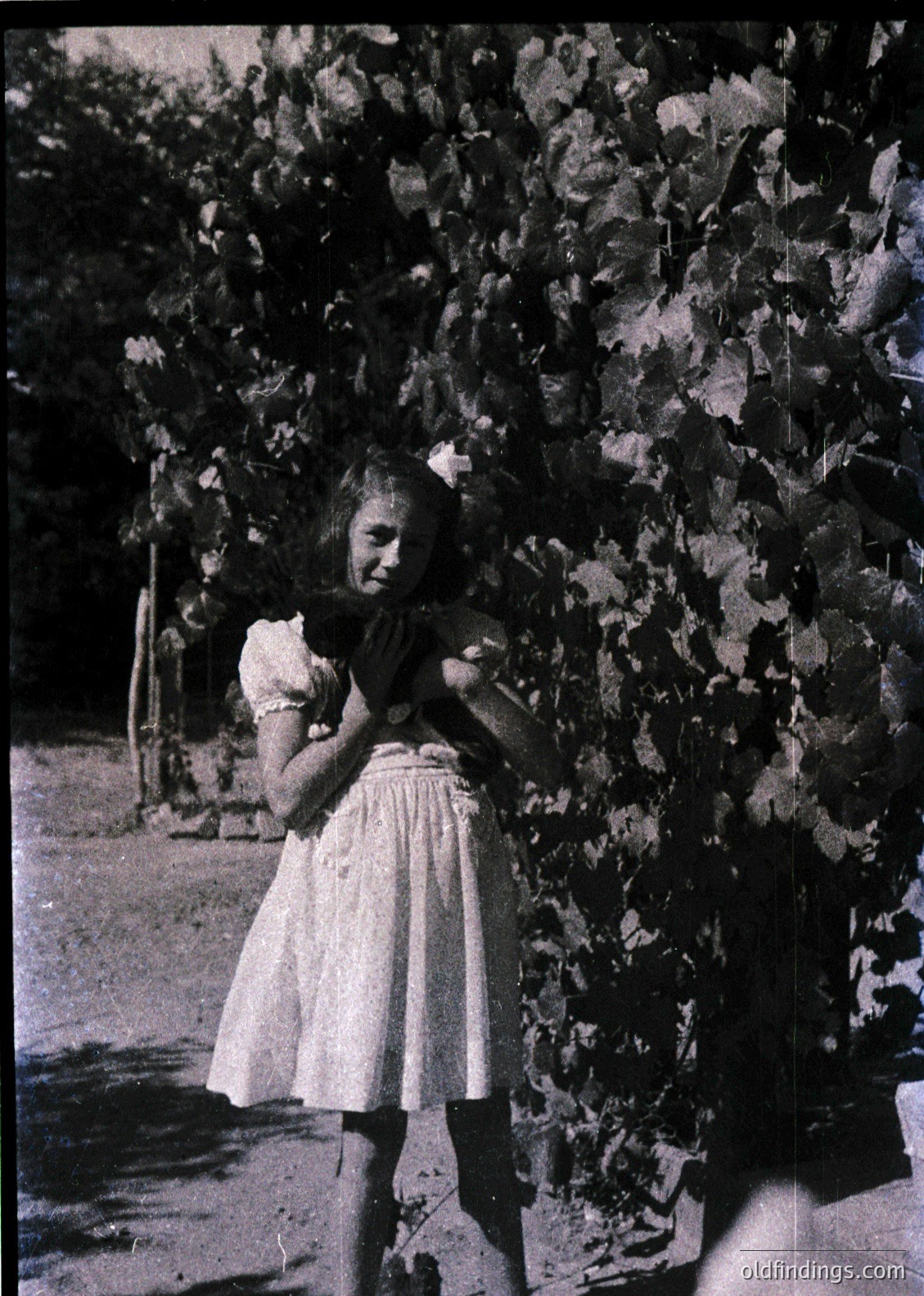 Young girl in vintage dress hugs a plush toy, standing beside leafy vine-covered wall. Mid-20th century rural or suburban setting. Soft focus and sepia tone suggest early photography techniques.