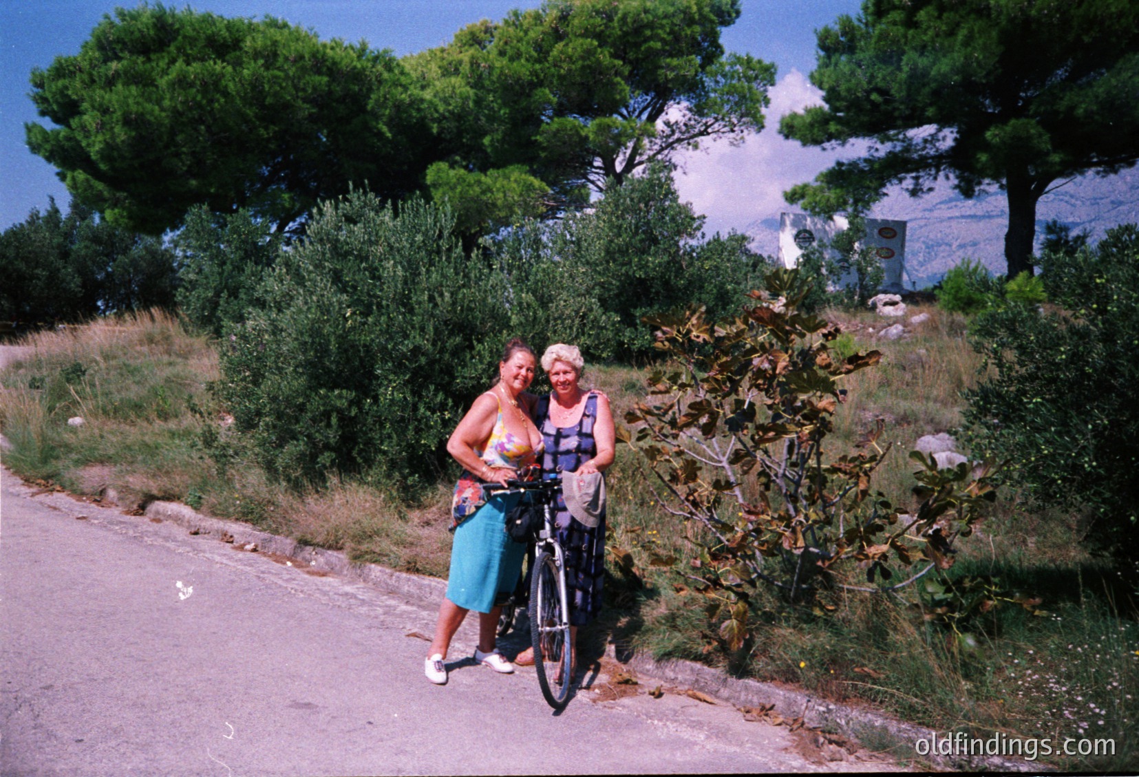 Two women pose beside a vintage bicycle on a rural road, surrounded by dense greenery and mature trees. The woman on the left wears a teal dress, while the other sports a checkered sleeveless top. The image’s vintage filter suggests a mid-20th-century aesthetic ( ).