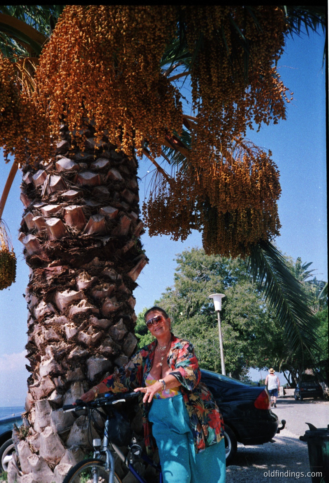 Aerial shot of a child in a red-and-white striped shirt holding a white pole, surrounded by dense clusters of hanging fruit (likely oranges) on a tree. Bright sunlight and clear sky enhance vibrant colors. Likely a Mediterranean orchard, possibly or , with -era clothing.