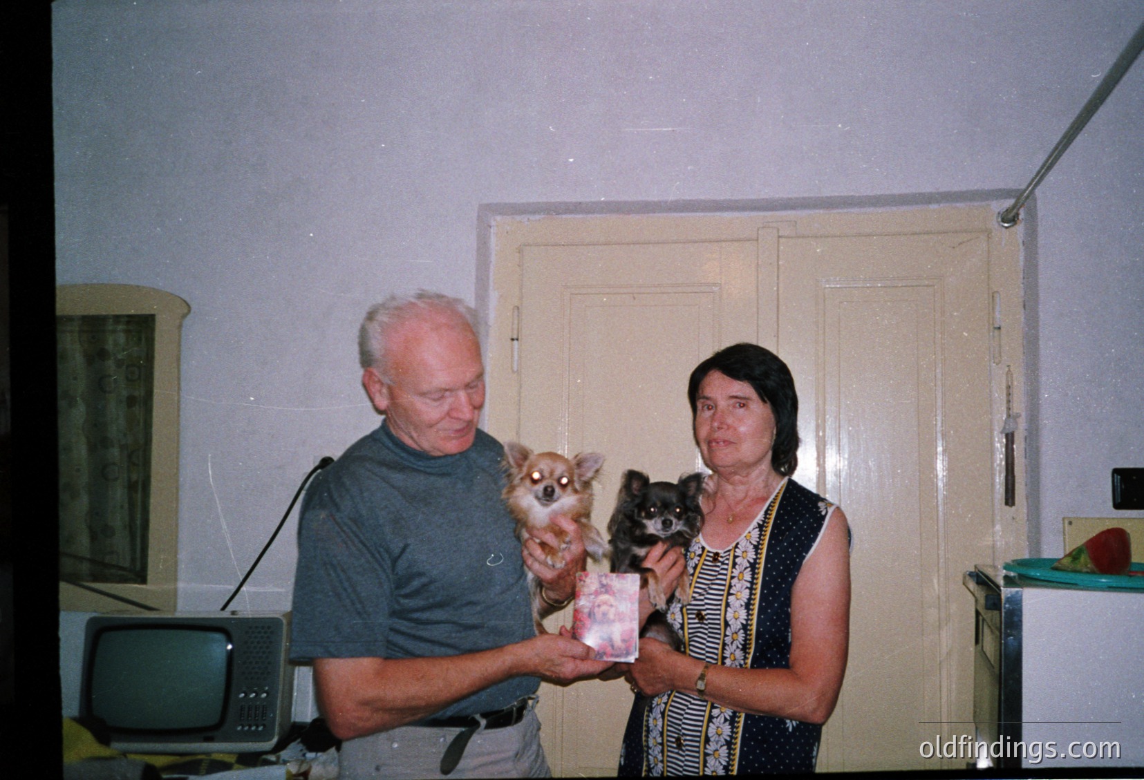 Vintage indoor portrait featuring an elderly man and woman holding small dogs, likely Chihuahuas. The man wears a gray sweater; the woman, a striped dress. A CRT TV and wooden door frame suggest mid-to-late 20th-century domestic setting. Warm lighting enhances nostalgic atmosphere.