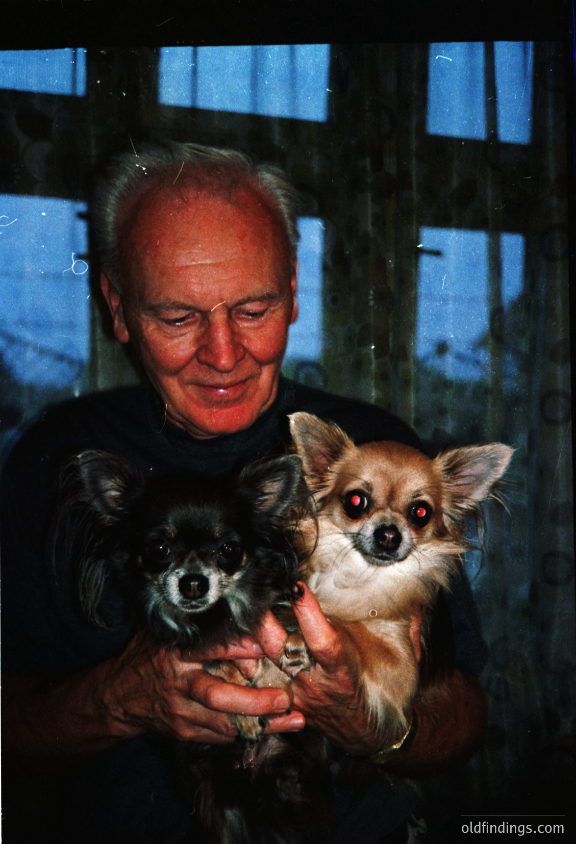 Vintage portrait of an elderly man holding two small dogs (likely Pomeranians) indoors, framed by a blue-tinted window. Warm lighting and grainy texture suggest 1970s–1980s photography. Candid, affectionate moment captures generational bond.