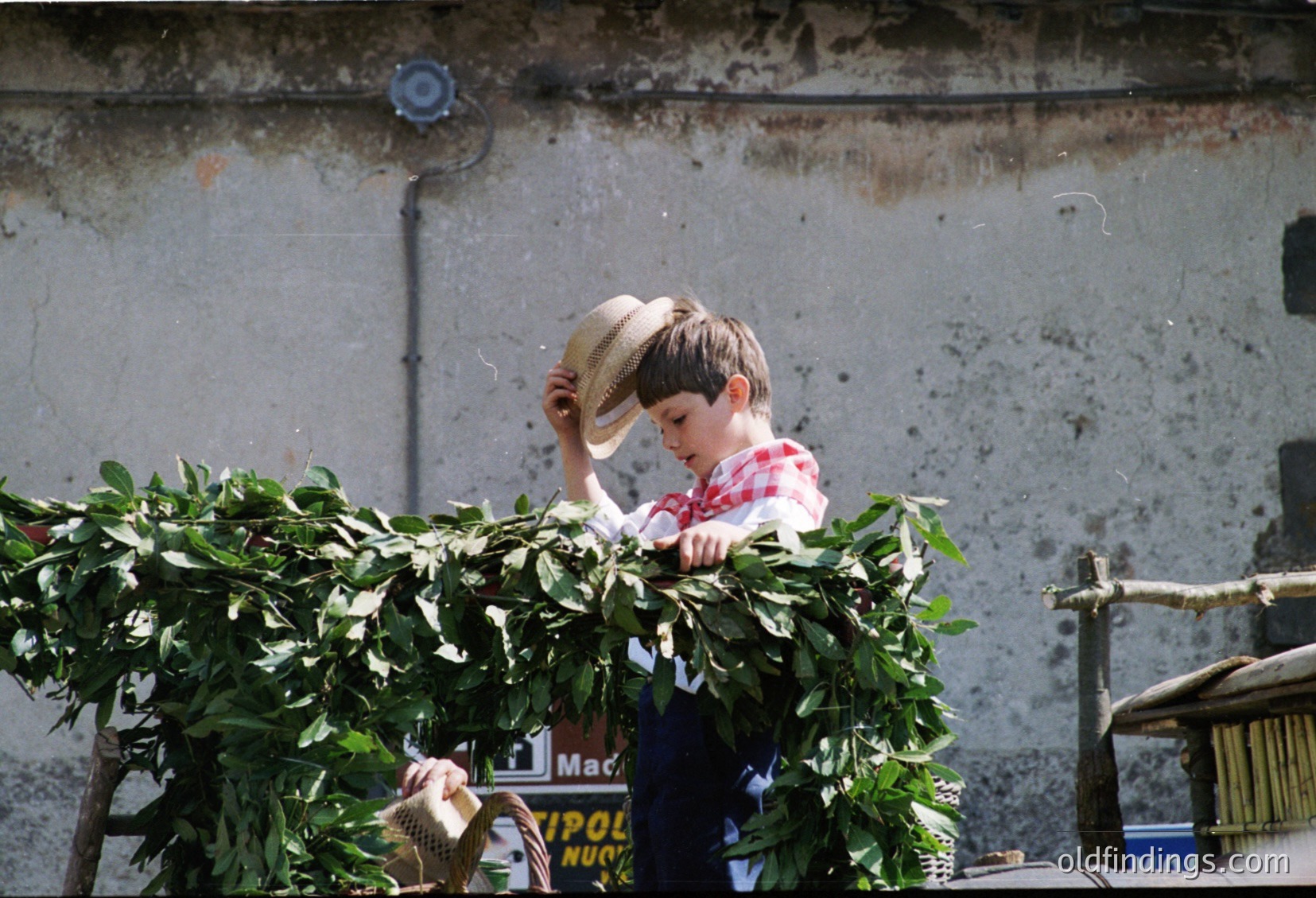 A young boy in a red-and-white checkered shirt adjusts a straw hat while holding lush green foliage, likely from a potted plant. The concrete wall and visible "POLIZIA" sign suggest an urban European setting, possibly Italy. The vintage aesthetic hints at mid-20th century street life.