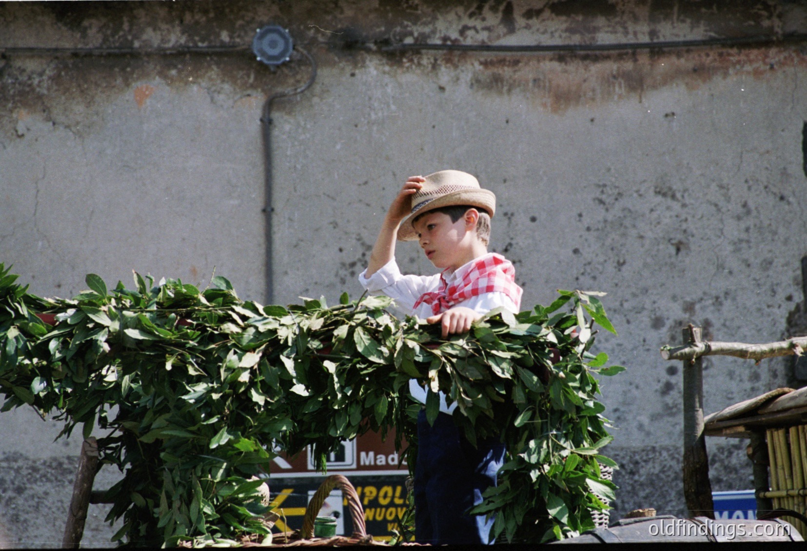 Young boy in early childhood clothing (plaid shirt, dark pants) leans over a lush green hedge, adjusting a straw hat. Concrete wall and rusted metal pipes in background suggest urban setting. Partial signage hints at "Poland" and "Made in Poland" ( )