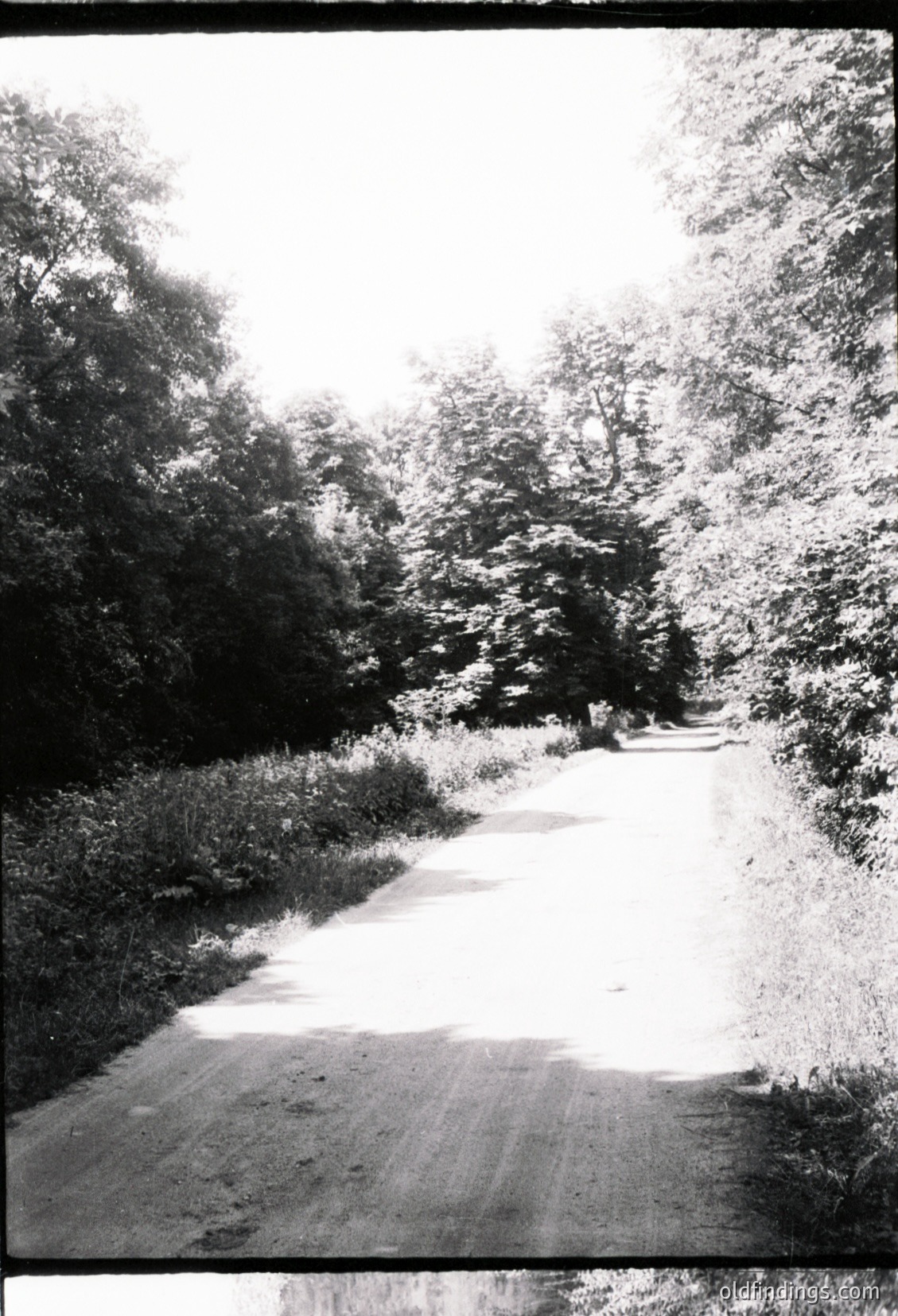 Mid-century black-and-white photo of a narrow, winding rural road flanked by dense foliage and mature trees. The asphalt surface shows subtle tire tracks, suggesting occasional vehicle use. A lone figure in dark clothing walks ahead, emphasizing the road’s isolation. Likely 1950s–1970s, rural Europe or North America.