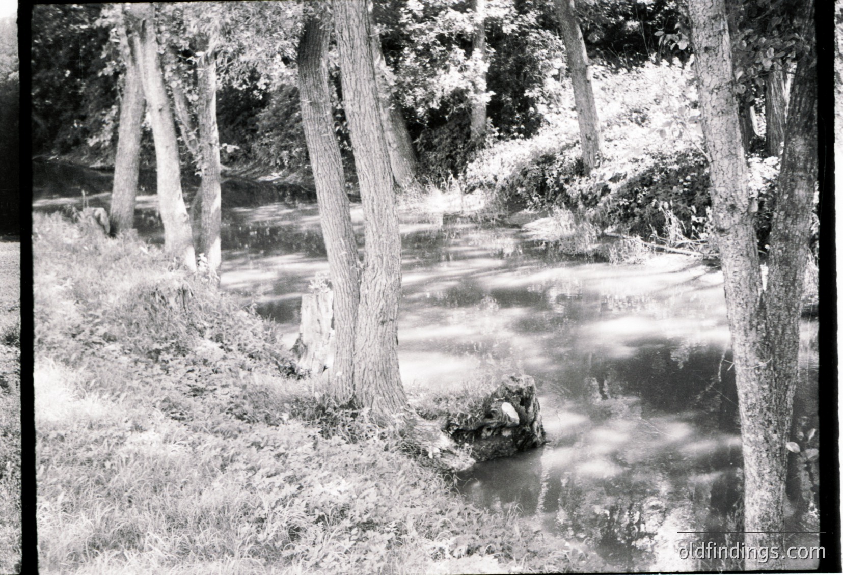 Vintage black-and-white shot of a shallow, rocky stream bordered by mature trees with curved trunks. Sunlight filters through foliage, creating dappled reflections on water. Likely mid-20th century, possibly for nature/landscape stock or historical research.