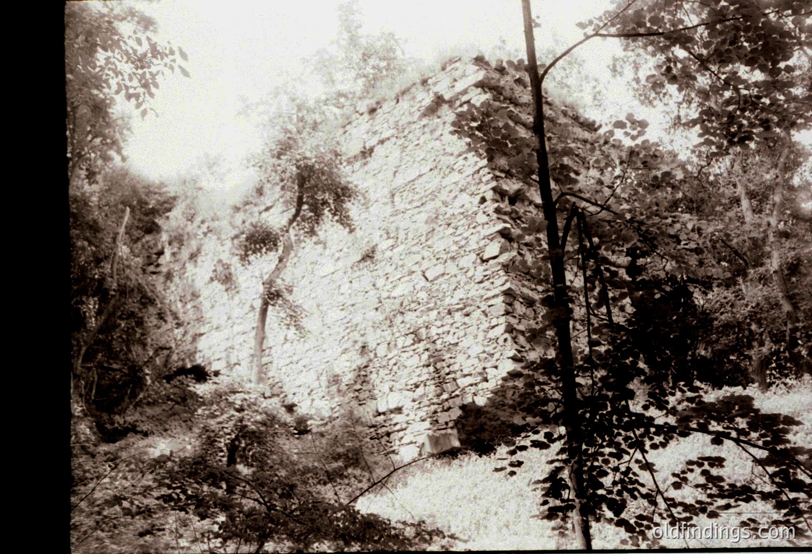 Vintage sepia-toned photograph of a rugged, snow-covered mountain slope with dense forest below. Likely early 20th century alpine or Scandinavian landscape, emphasizing raw natural beauty.