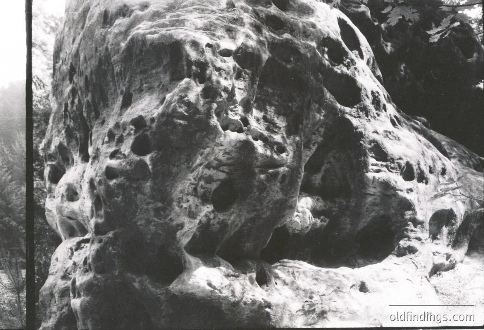 Close-up of rugged, eroded rock formations resembling abstract organic shapes. Likely a geological or archaeological site with intricate surface textures.