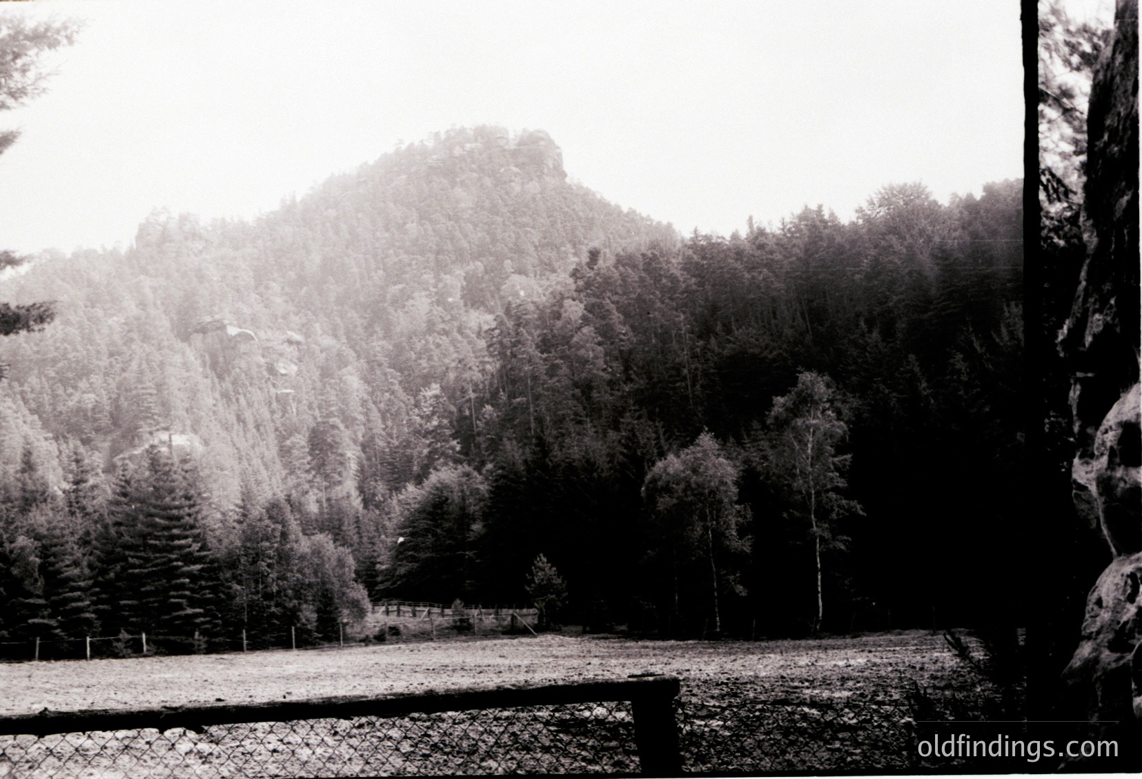 Misty forest landscape with dense coniferous trees and a rocky hillside in the background. Snow-covered ground and sparse vegetation suggest early spring or late autumn. Vintage black-and-white filter enhances nostalgic, timeless quality.