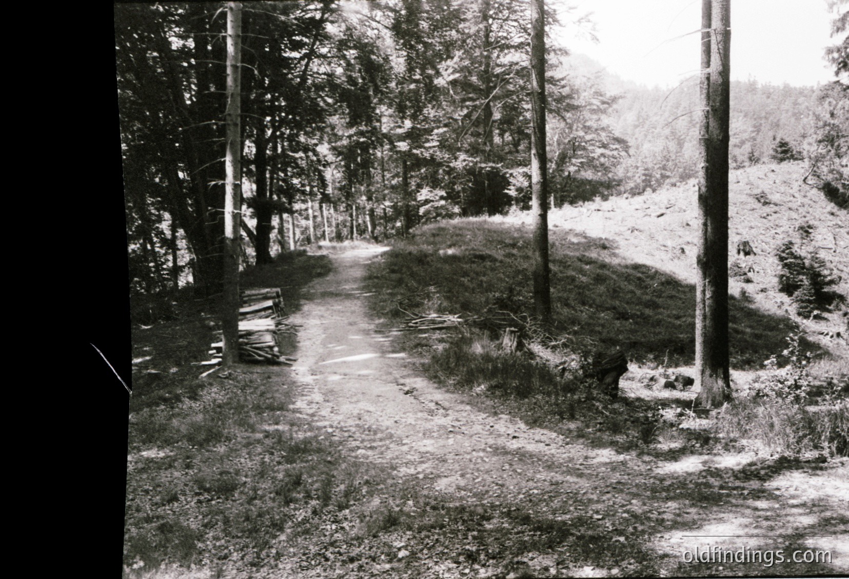 A vintage black-and-white forest path flanked by mature trees, leading to a distant wooden bench. Dense foliage and uneven terrain suggest a rural, possibly European woodland setting. The composition evokes mid-20th century outdoor photography, ideal for historical or nature-themed archives.