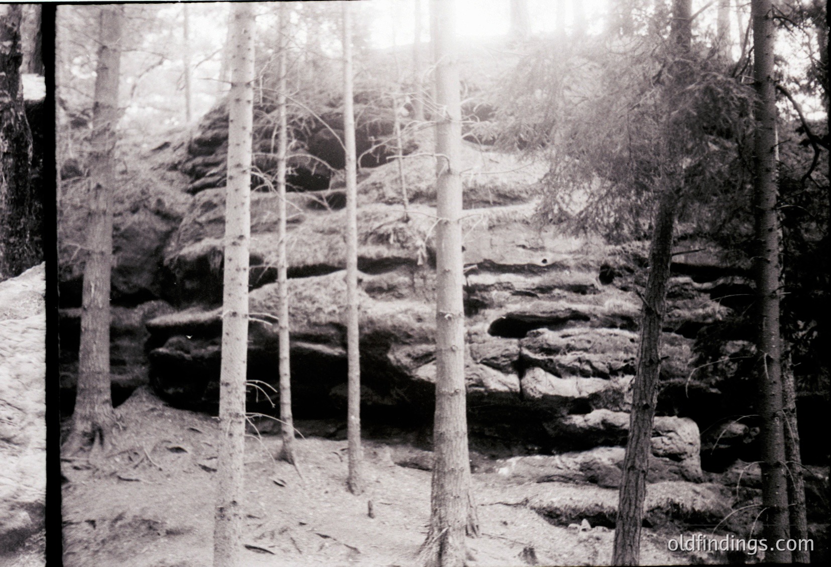 Vintage black-and-white forest scene featuring leafless trees framing rocky terrain with exposed strata. Sunlight filters through branches, casting dramatic shadows on uneven ground. Likely late autumn/winter, suggesting a temperate climate. Ideal for historical research on natural landscapes or vintage photography.